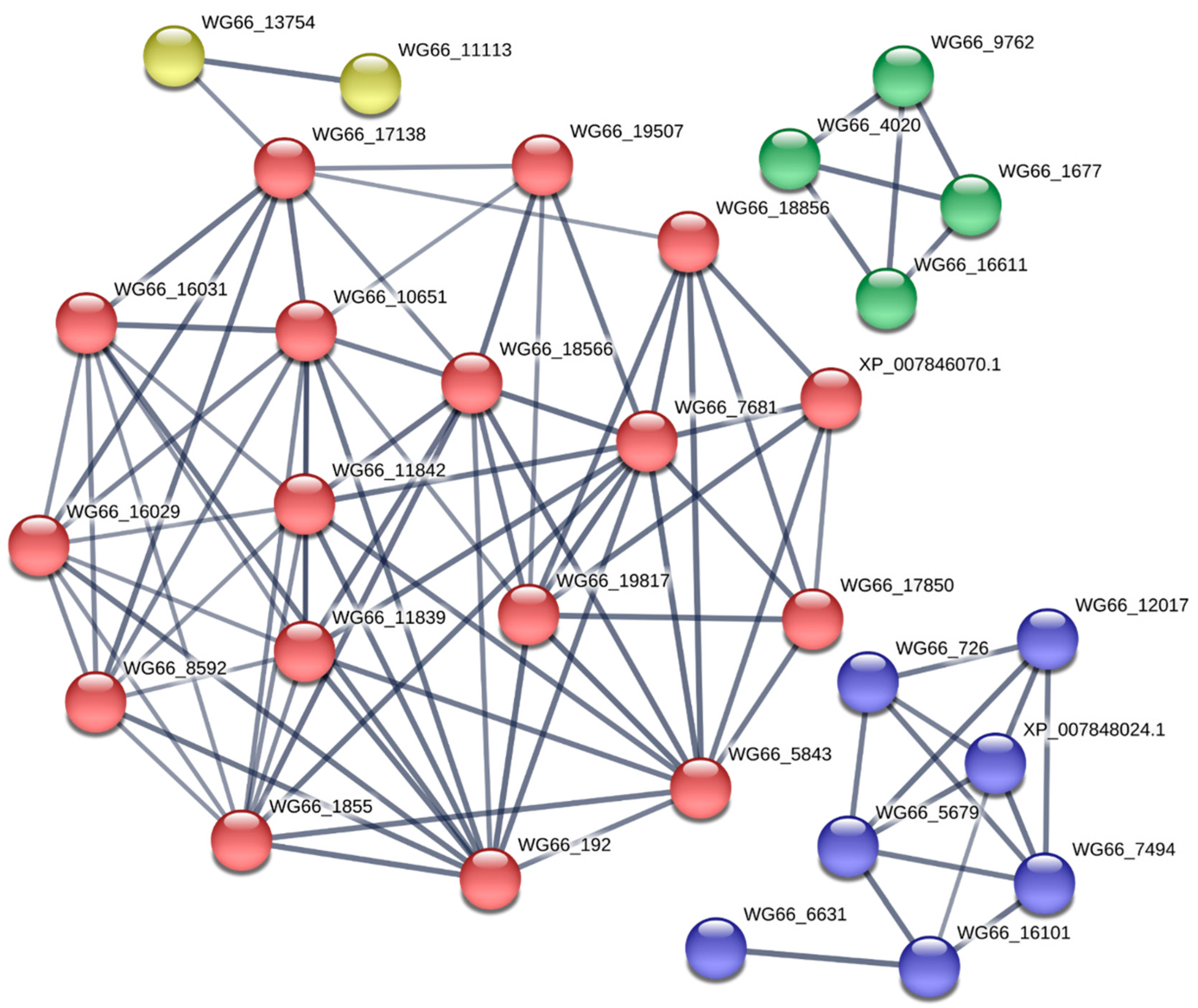 Ijms 20 06317 g005 Ijms 20 06317 g005