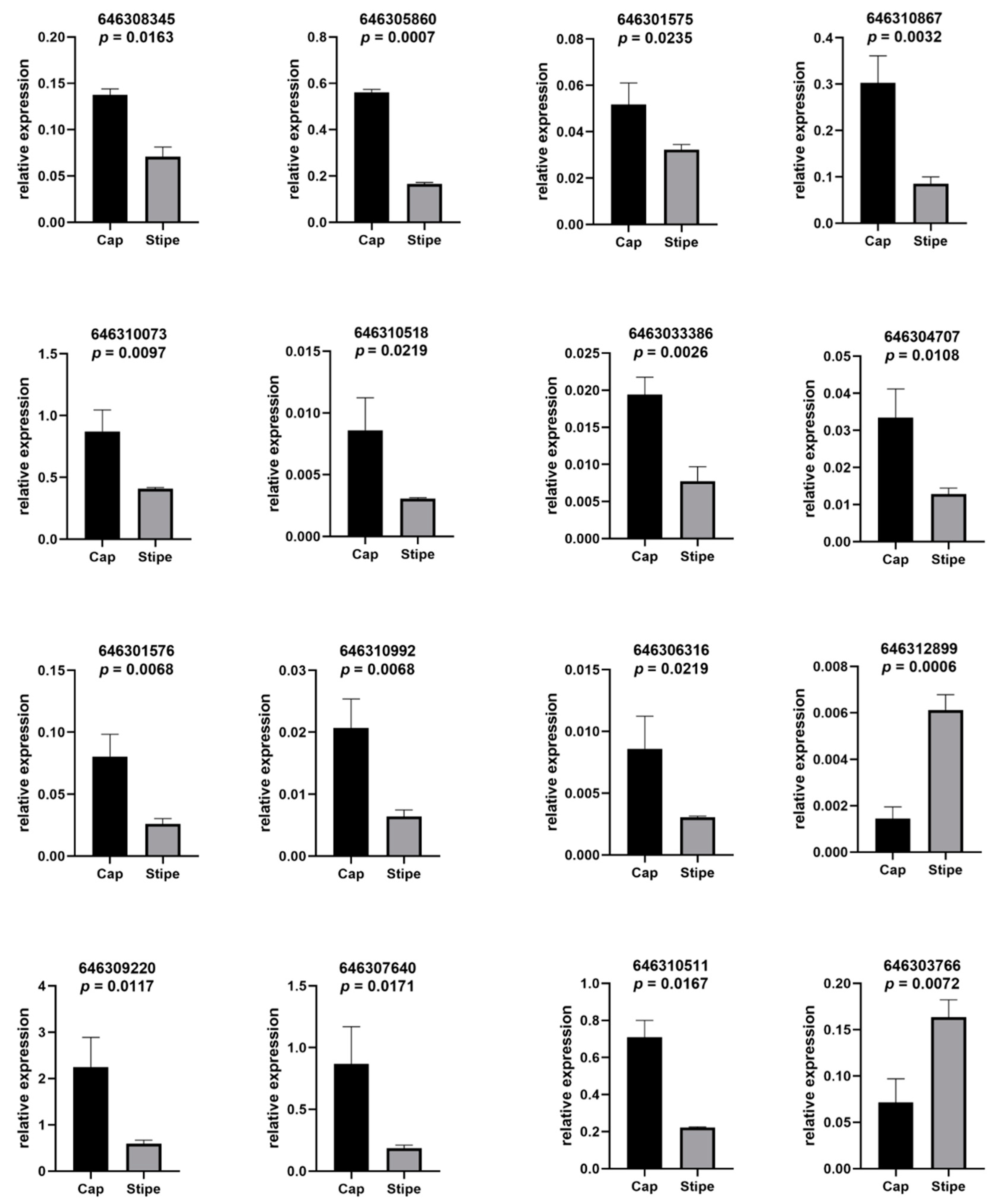 Ijms 20 06317 g006 Ijms 20 06317 g006