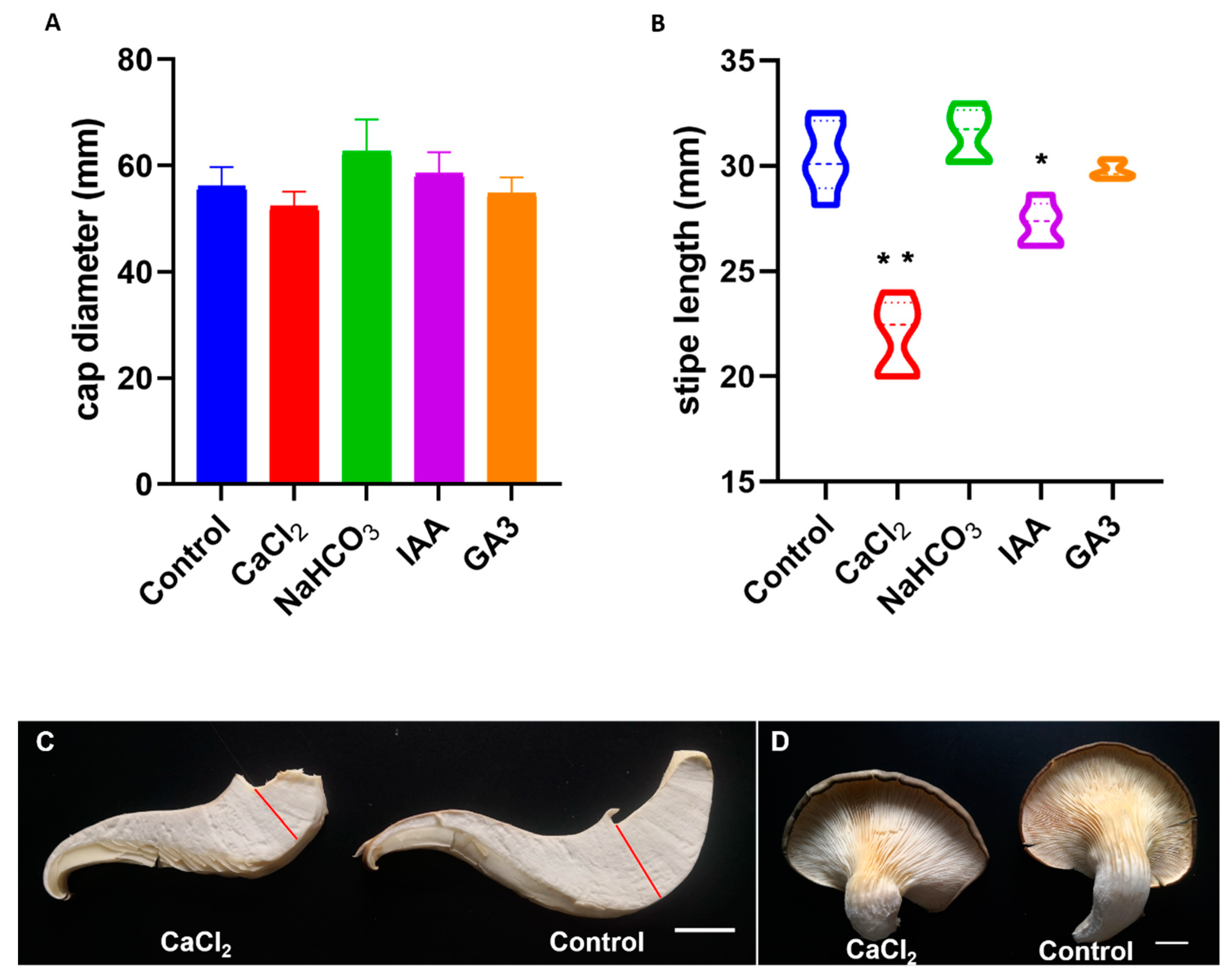 Ijms 20 06317 g007 Ijms 20 06317 g007