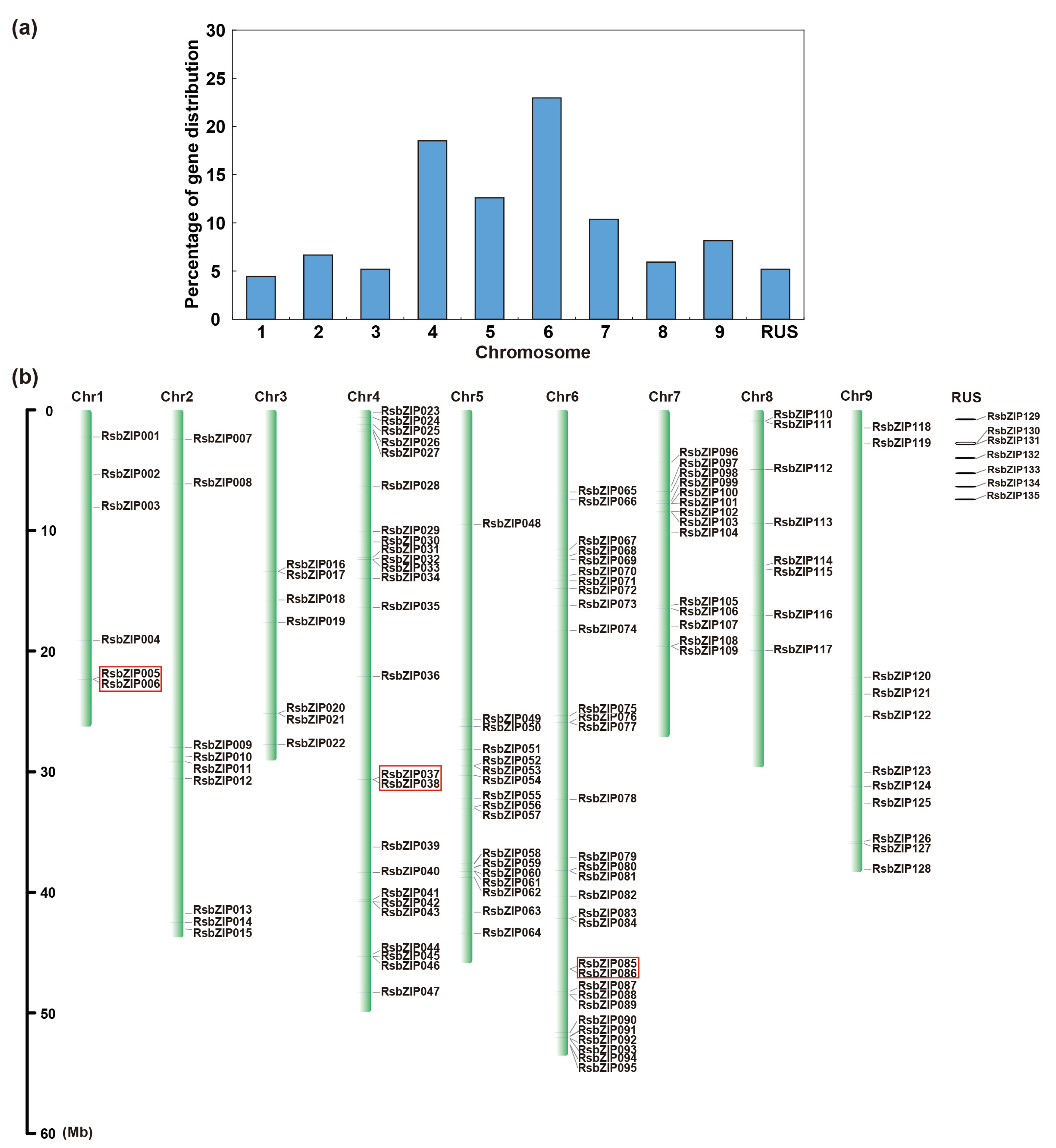 Ijms 20 06334 g001 Ijms 20 06334 g001
