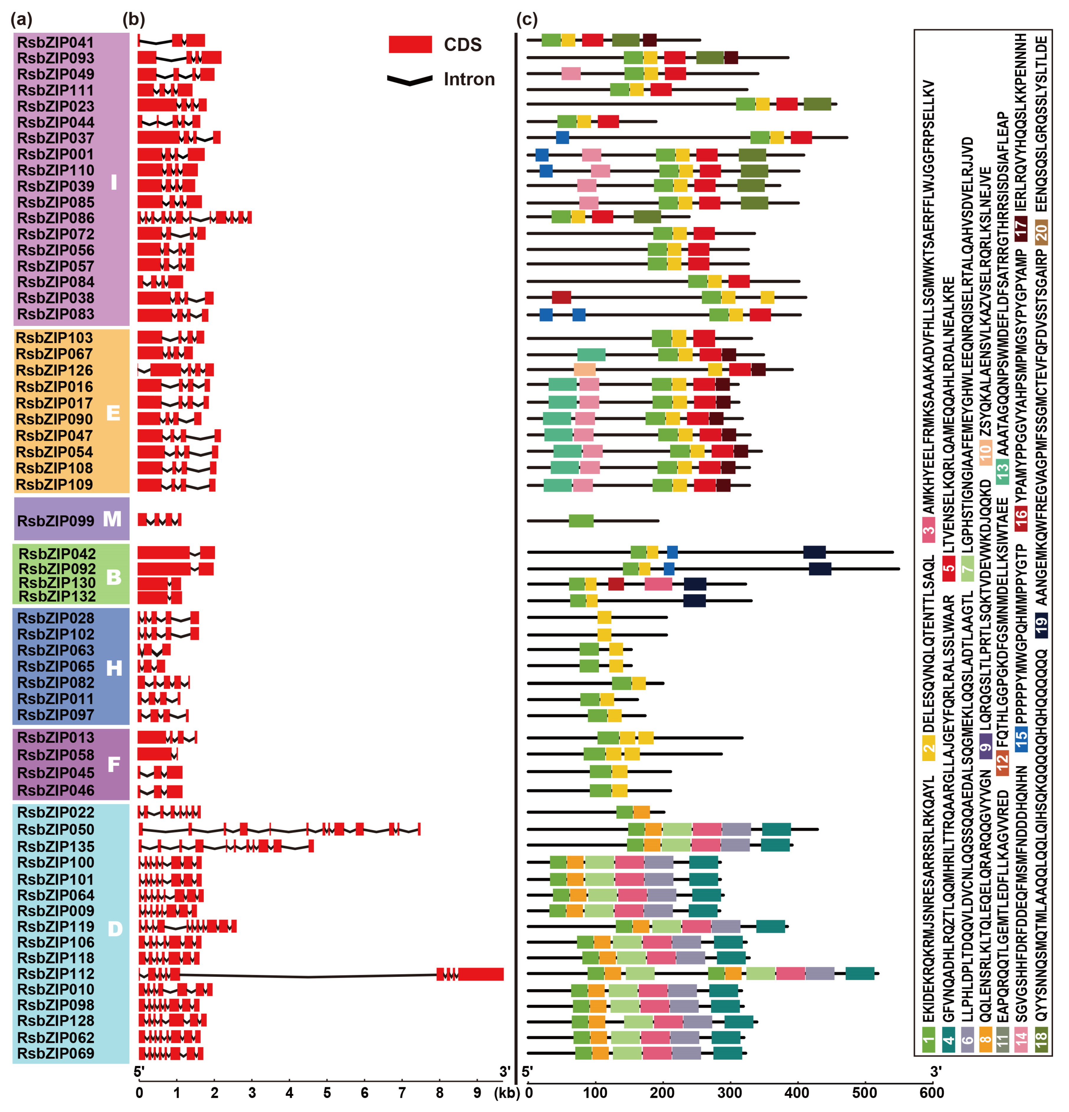 Ijms 20 06334 g002a Ijms 20 06334 g002a