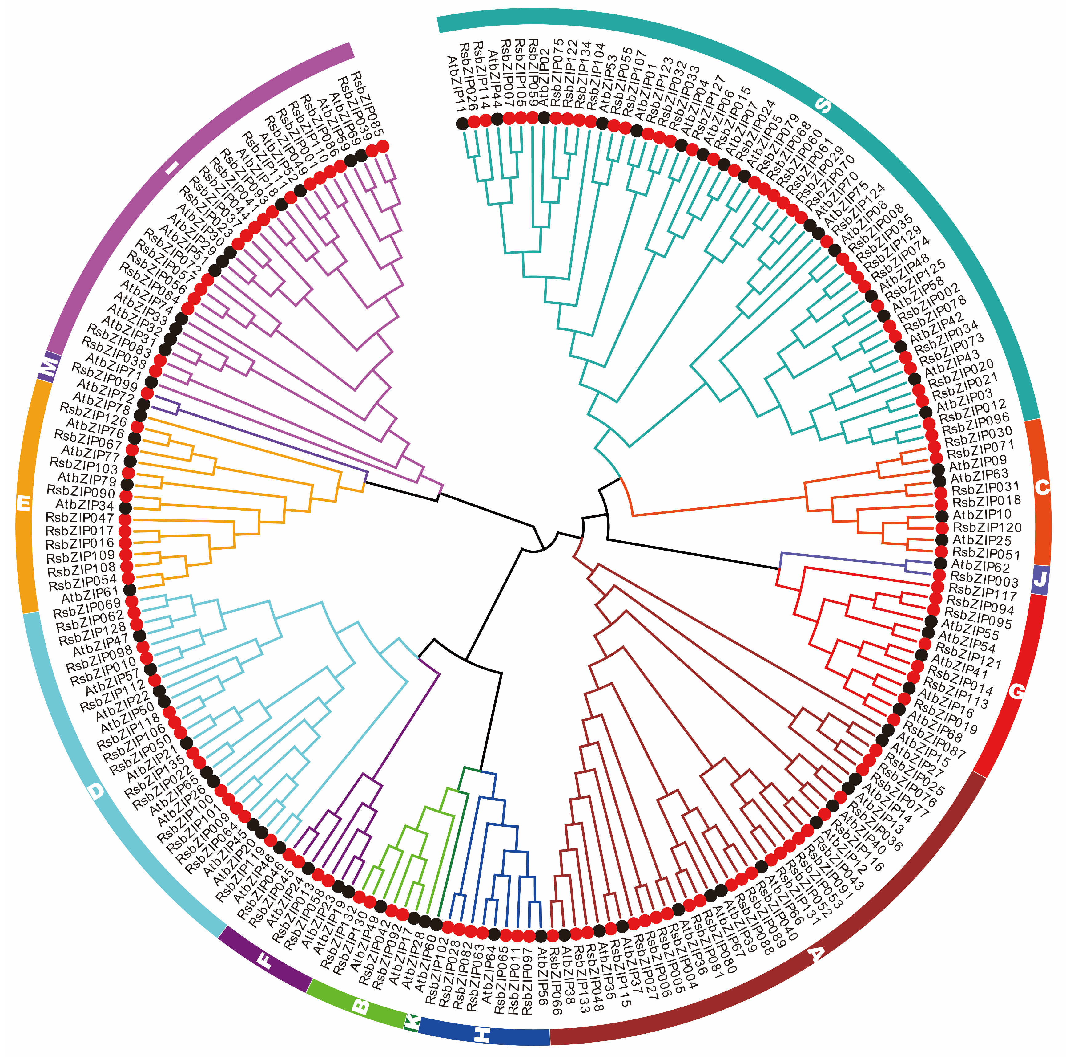 Ijms 20 06334 g003 Ijms 20 06334 g003