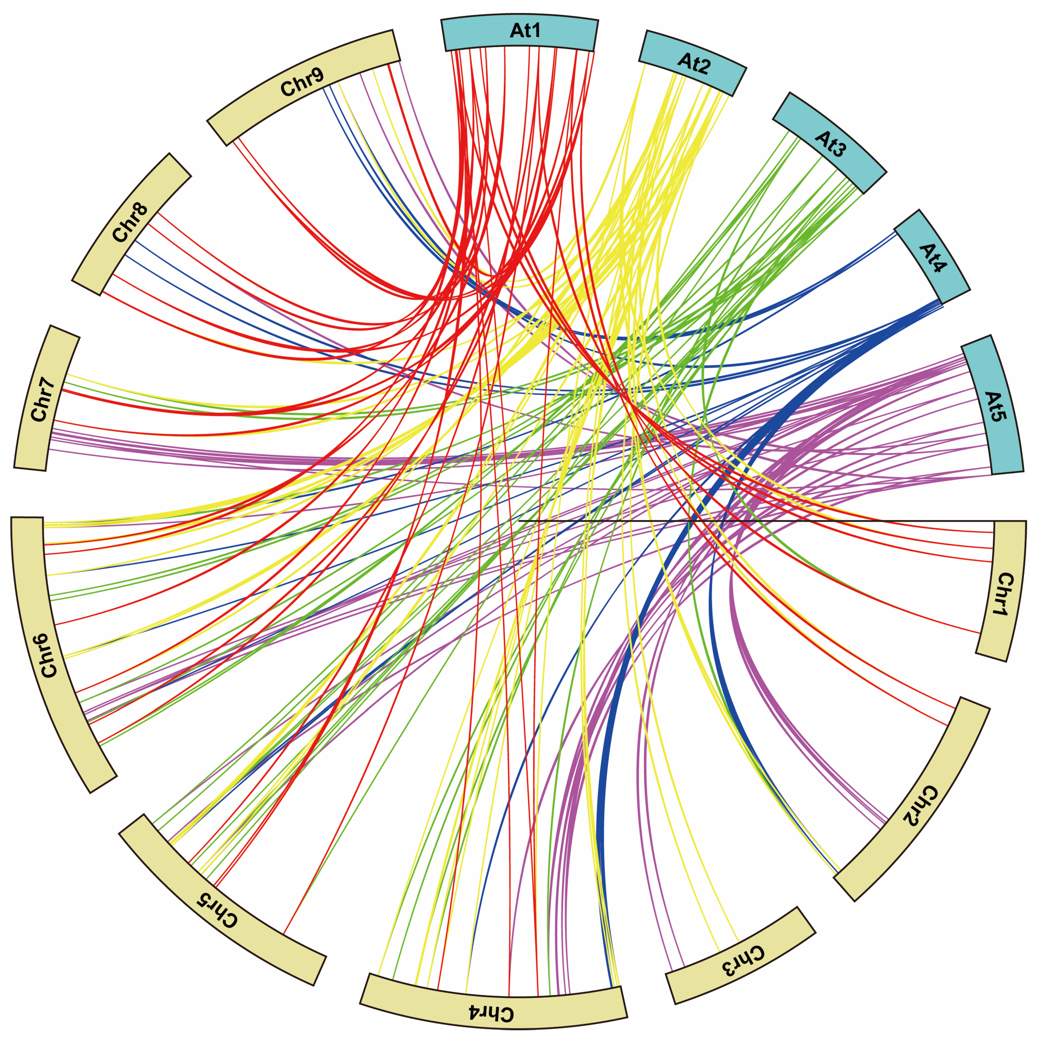Ijms 20 06334 g004 Ijms 20 06334 g004