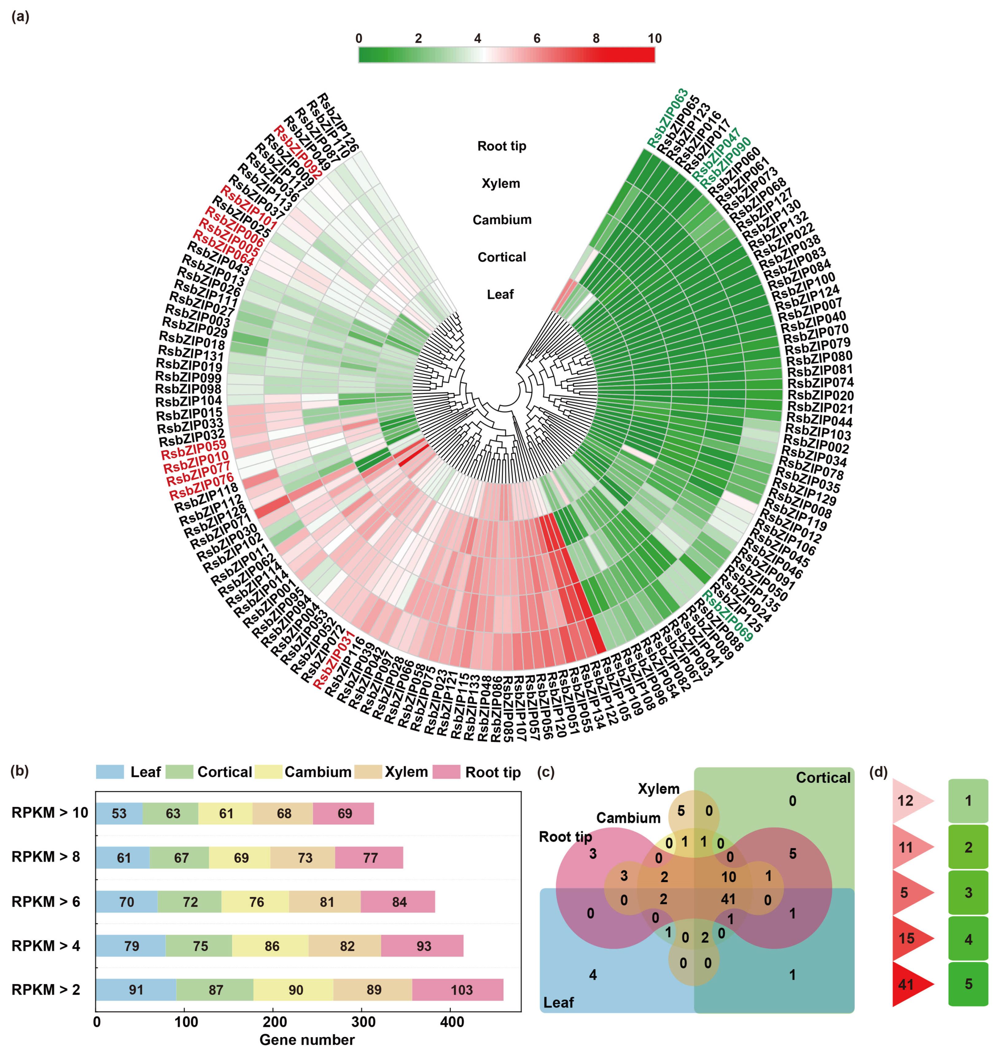 Ijms 20 06334 g005 Ijms 20 06334 g005