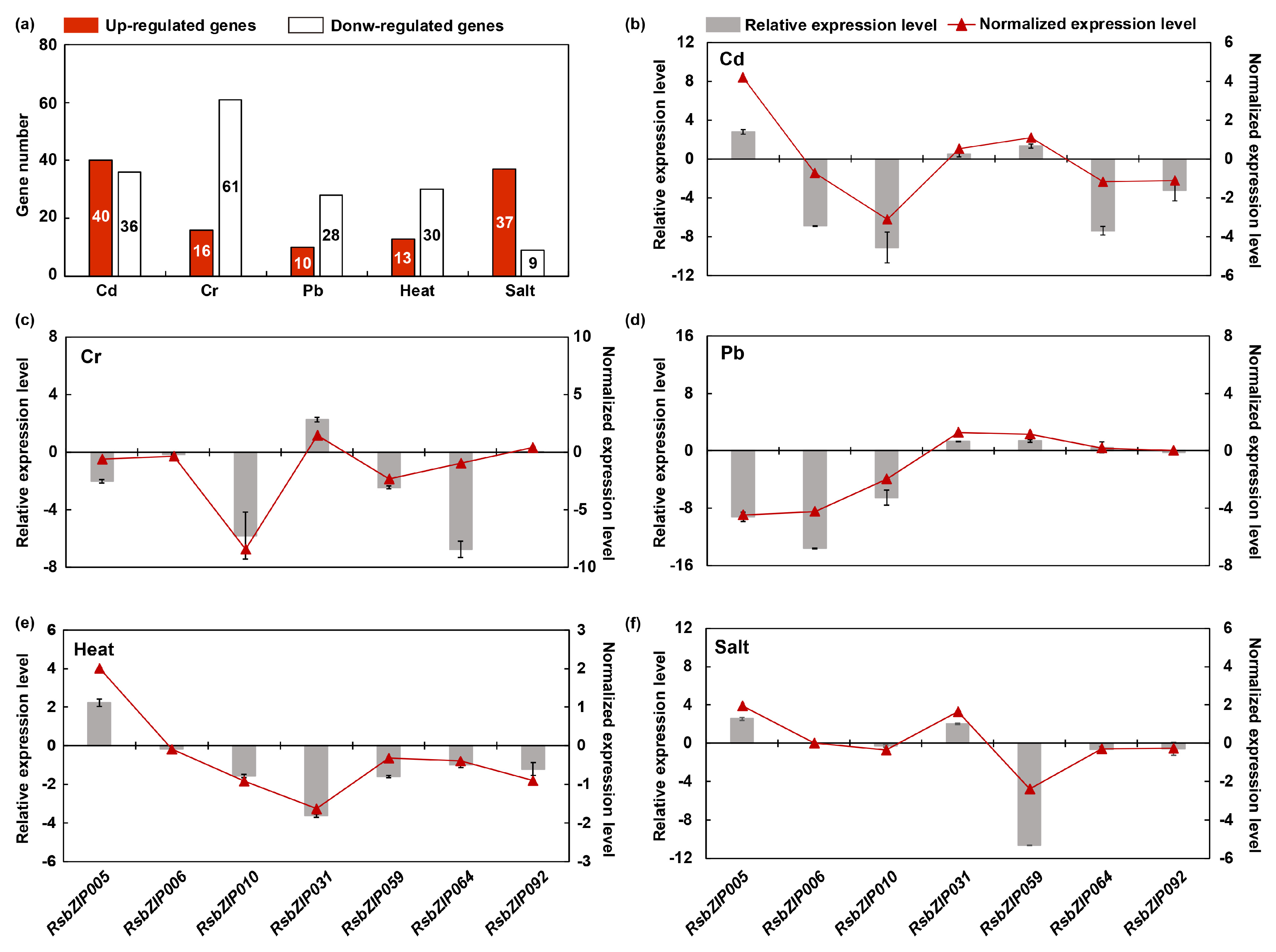 Ijms 20 06334 g006 Ijms 20 06334 g006