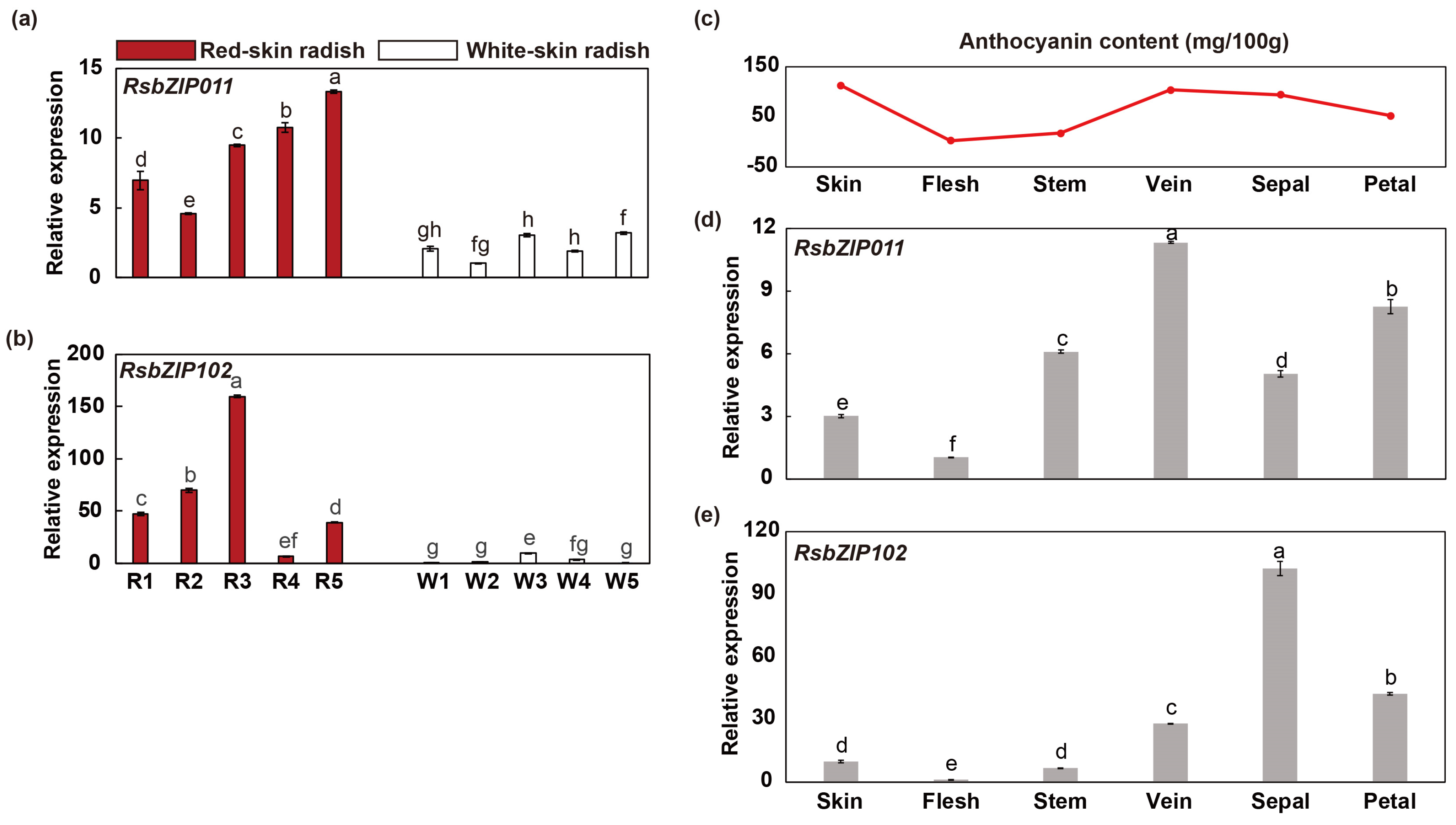 Ijms 20 06334 g007 Ijms 20 06334 g007