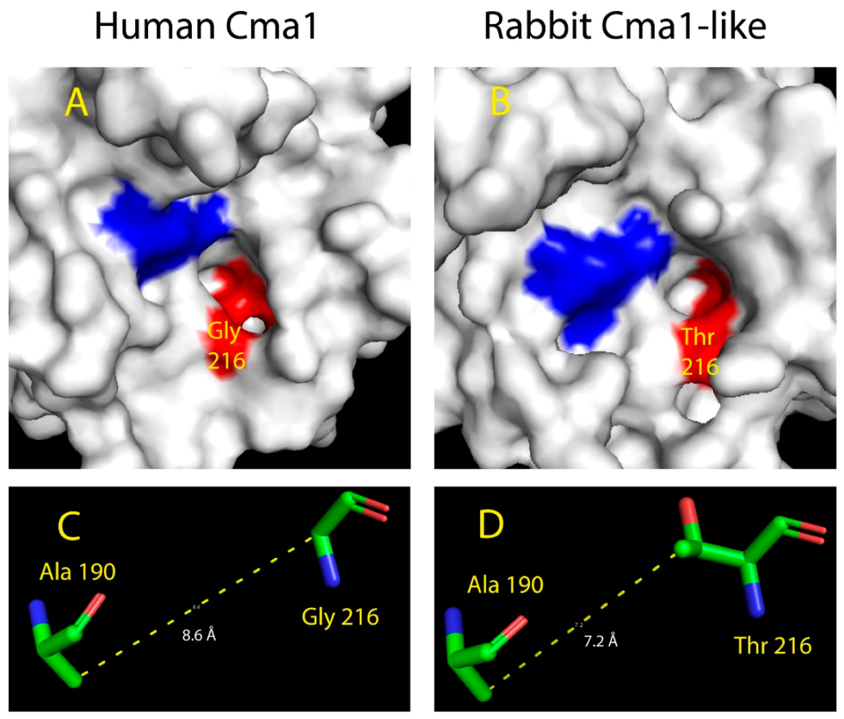 Ijms 20 06340 g006 Ijms 20 06340 g006