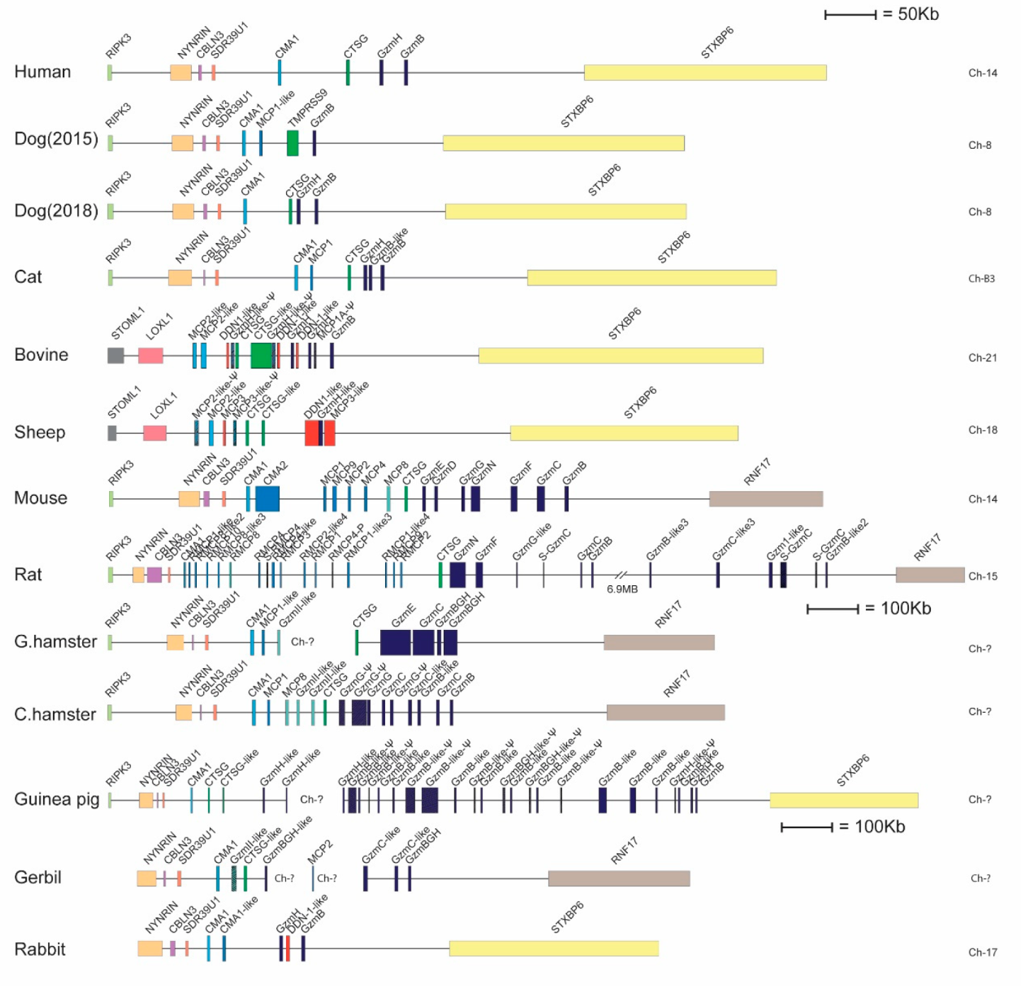 Ijms 20 06340 g007 Ijms 20 06340 g007