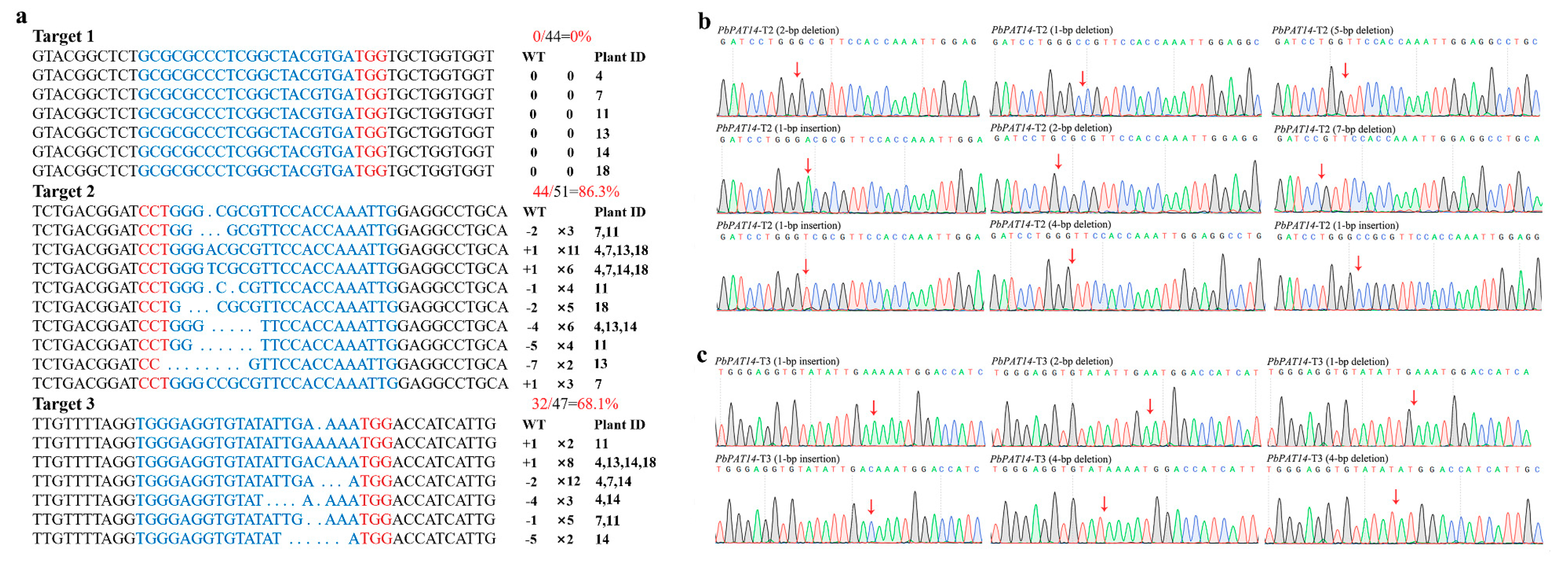 Ijms 20 06347 g002 Ijms 20 06347 g002