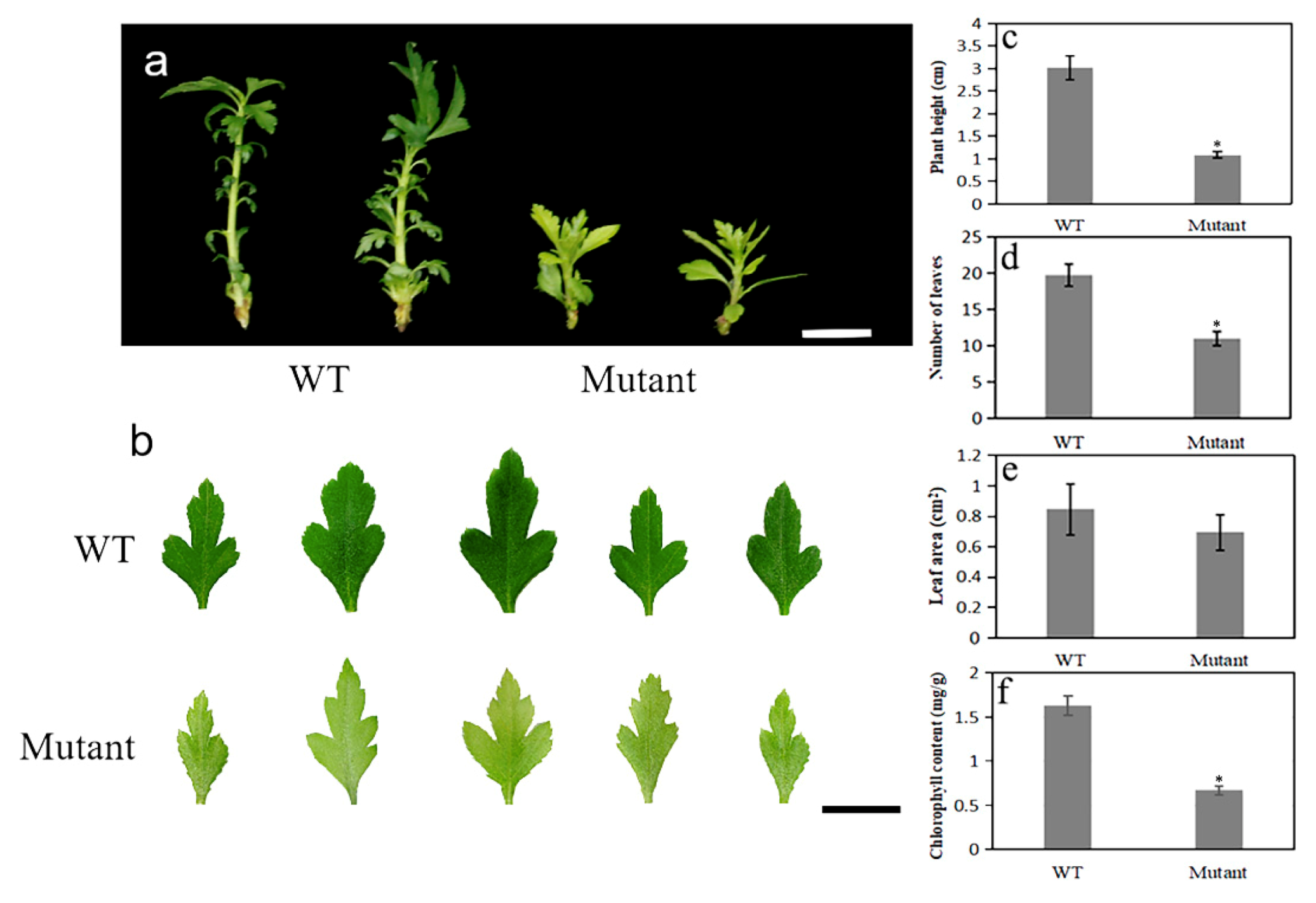 Ijms 20 06347 g003 Ijms 20 06347 g003