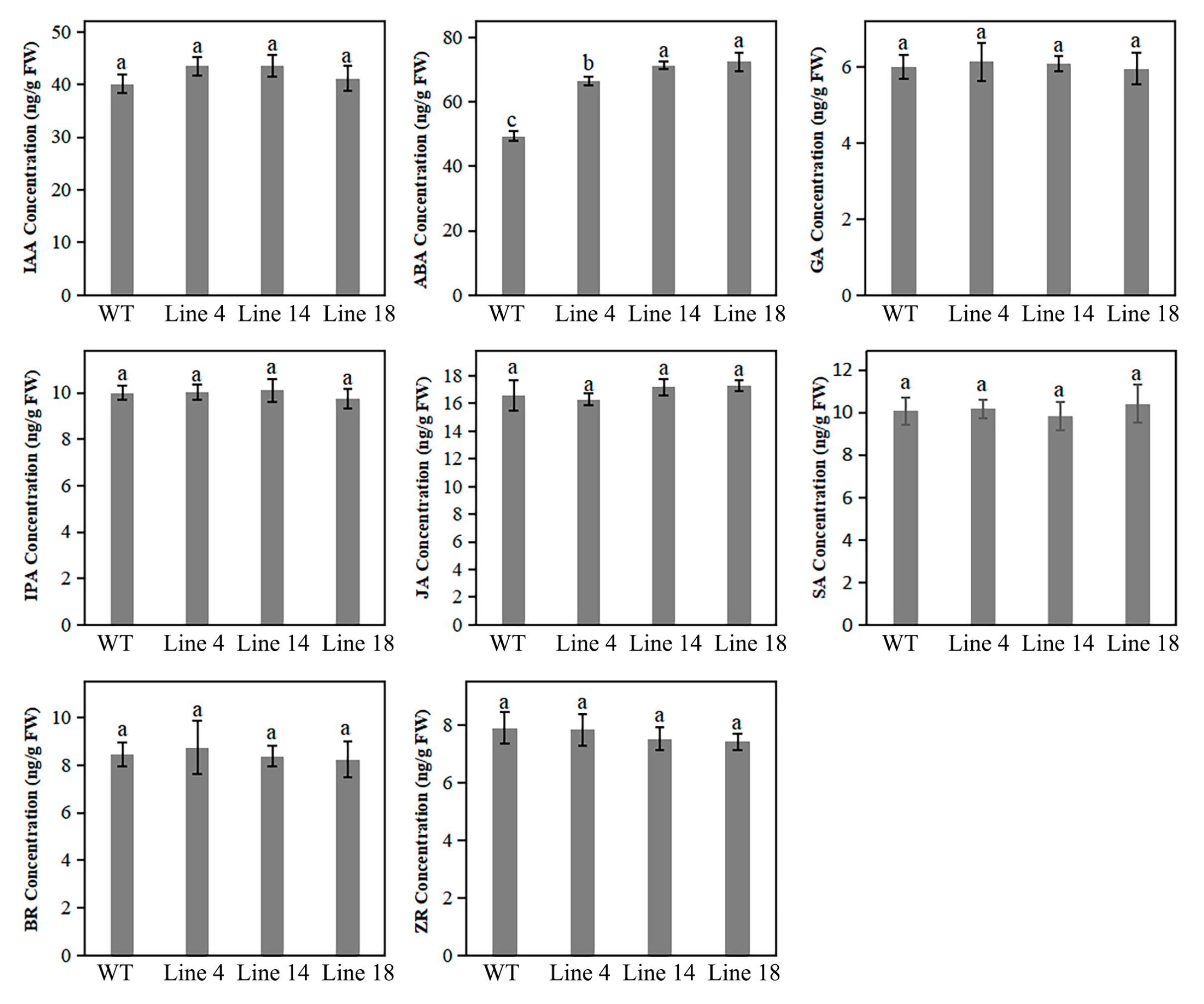 Ijms 20 06347 g005 Ijms 20 06347 g005