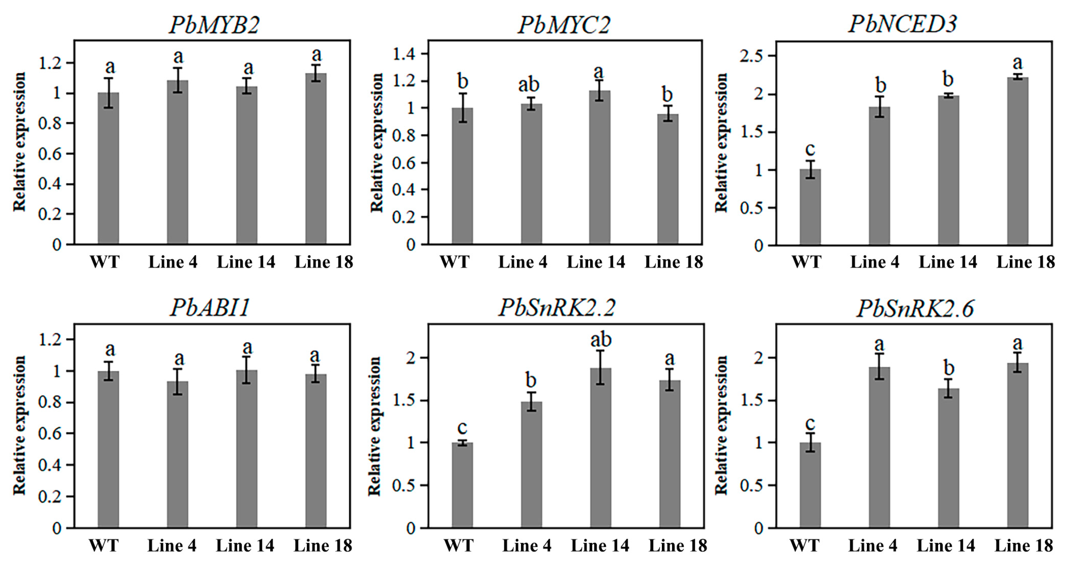 Ijms 20 06347 g006 Ijms 20 06347 g006