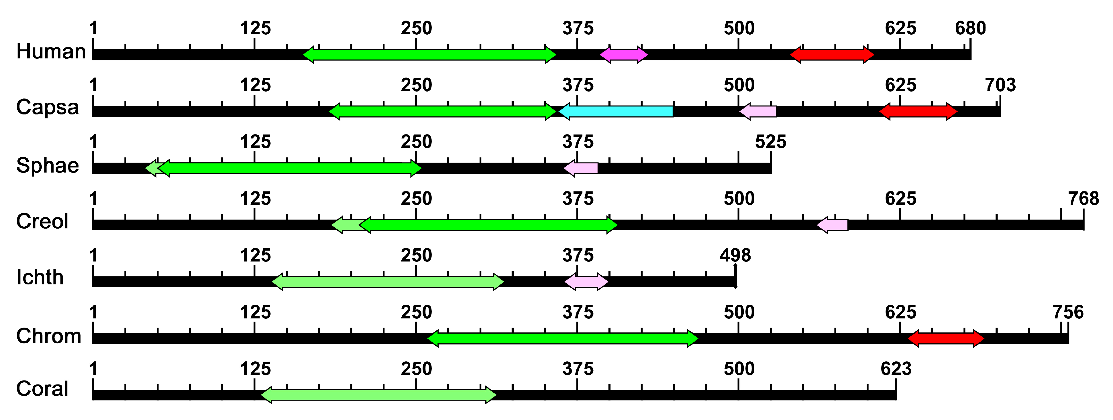 Ijms 21 00006 g001 Ijms 21 00006 g001