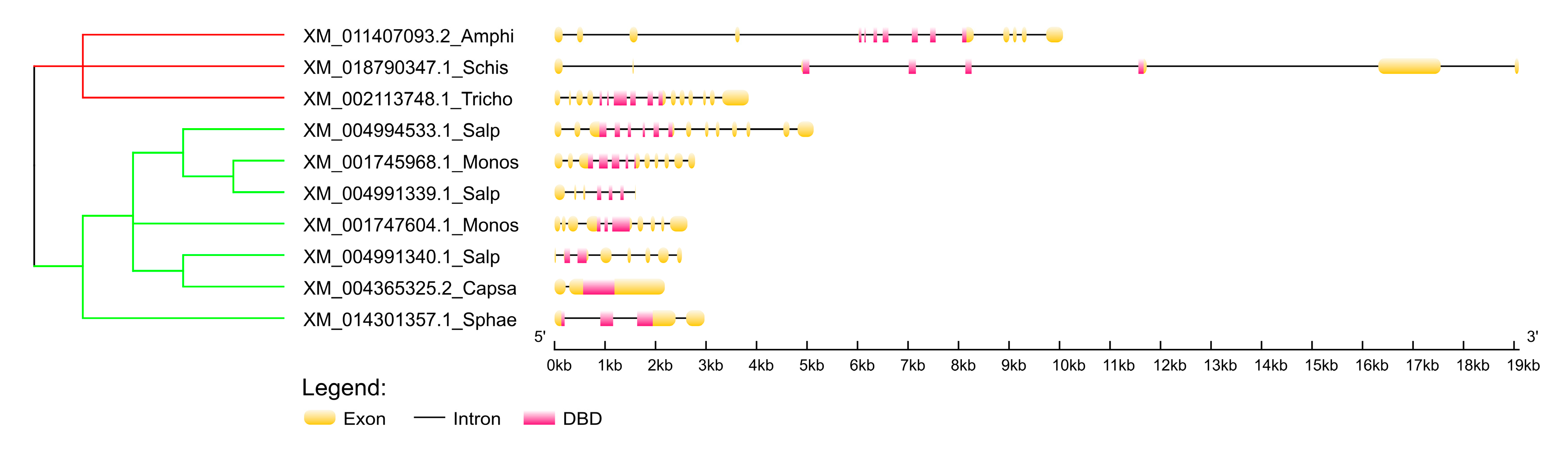 Ijms 21 00006 g002 Ijms 21 00006 g002