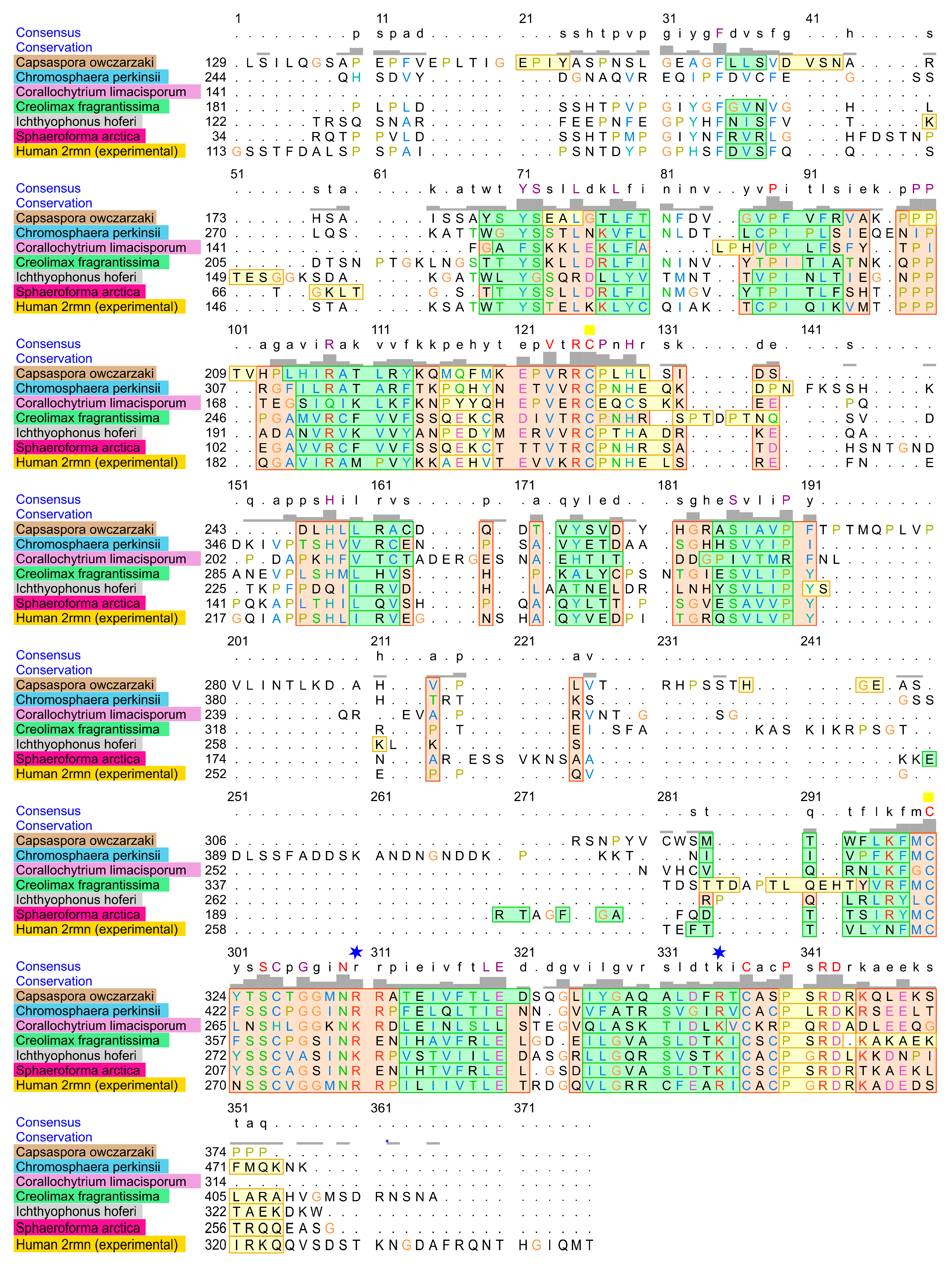 Ijms 21 00006 g004 Ijms 21 00006 g004