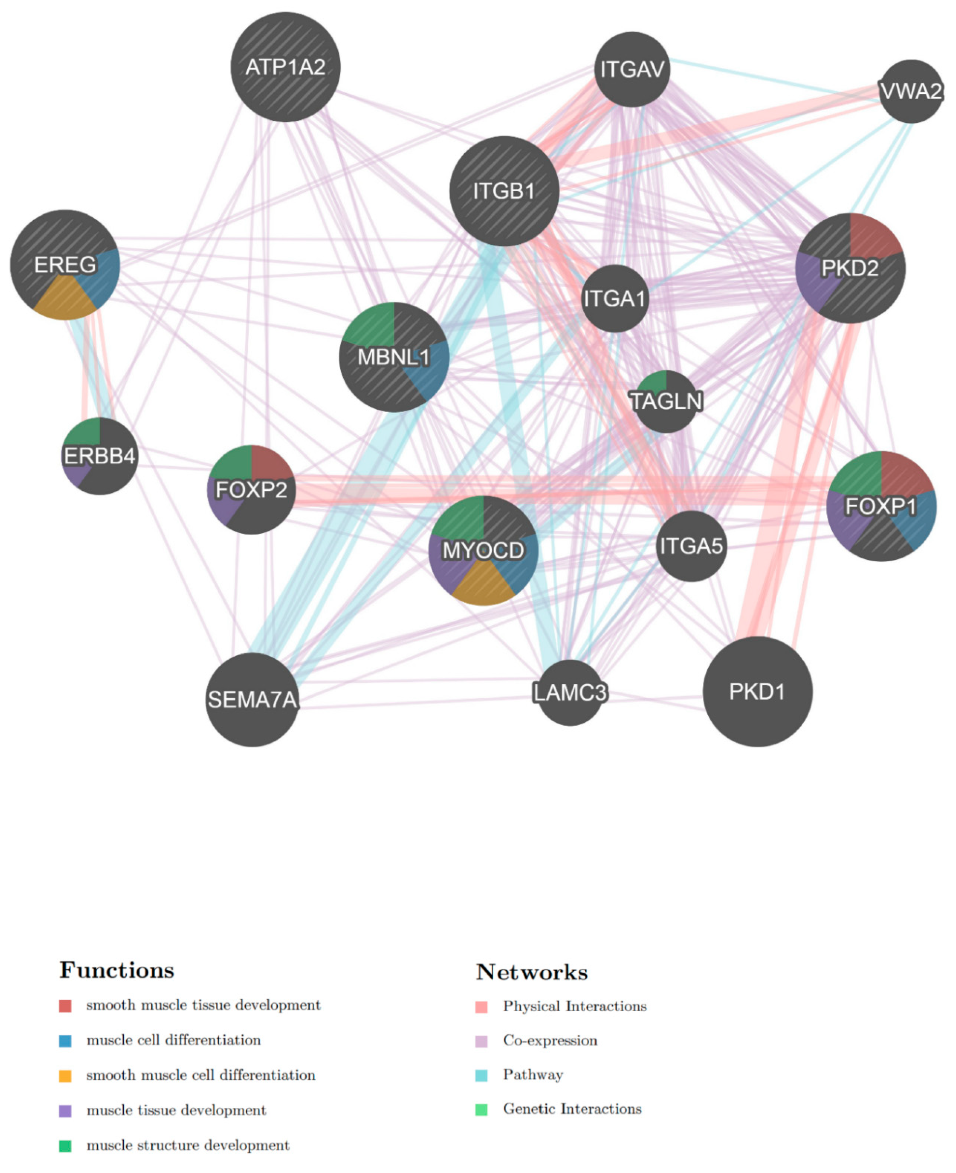 Ijms 21 00011 g003 Ijms 21 00011 g003