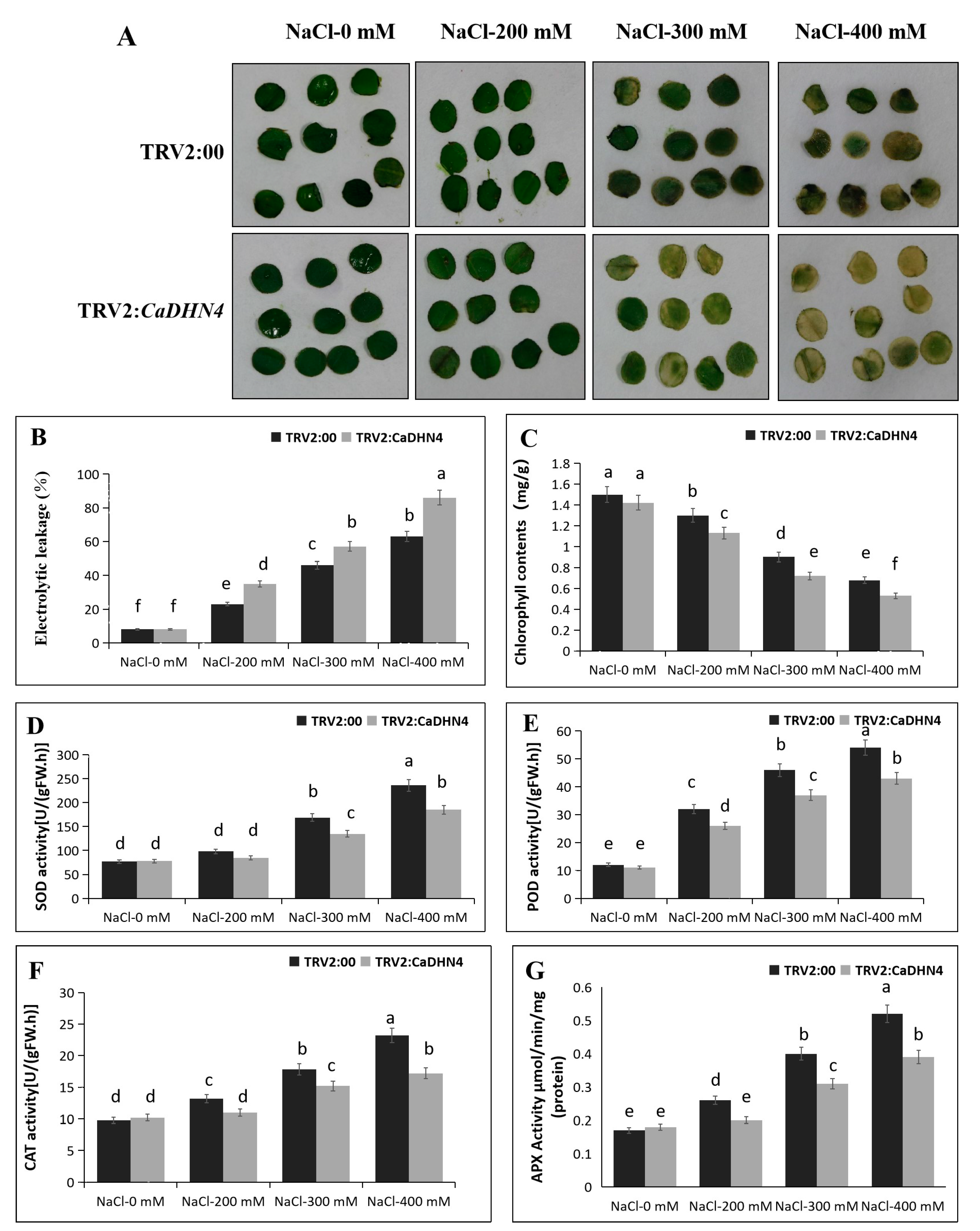 Ijms 21 00026 g004 Ijms 21 00026 g004