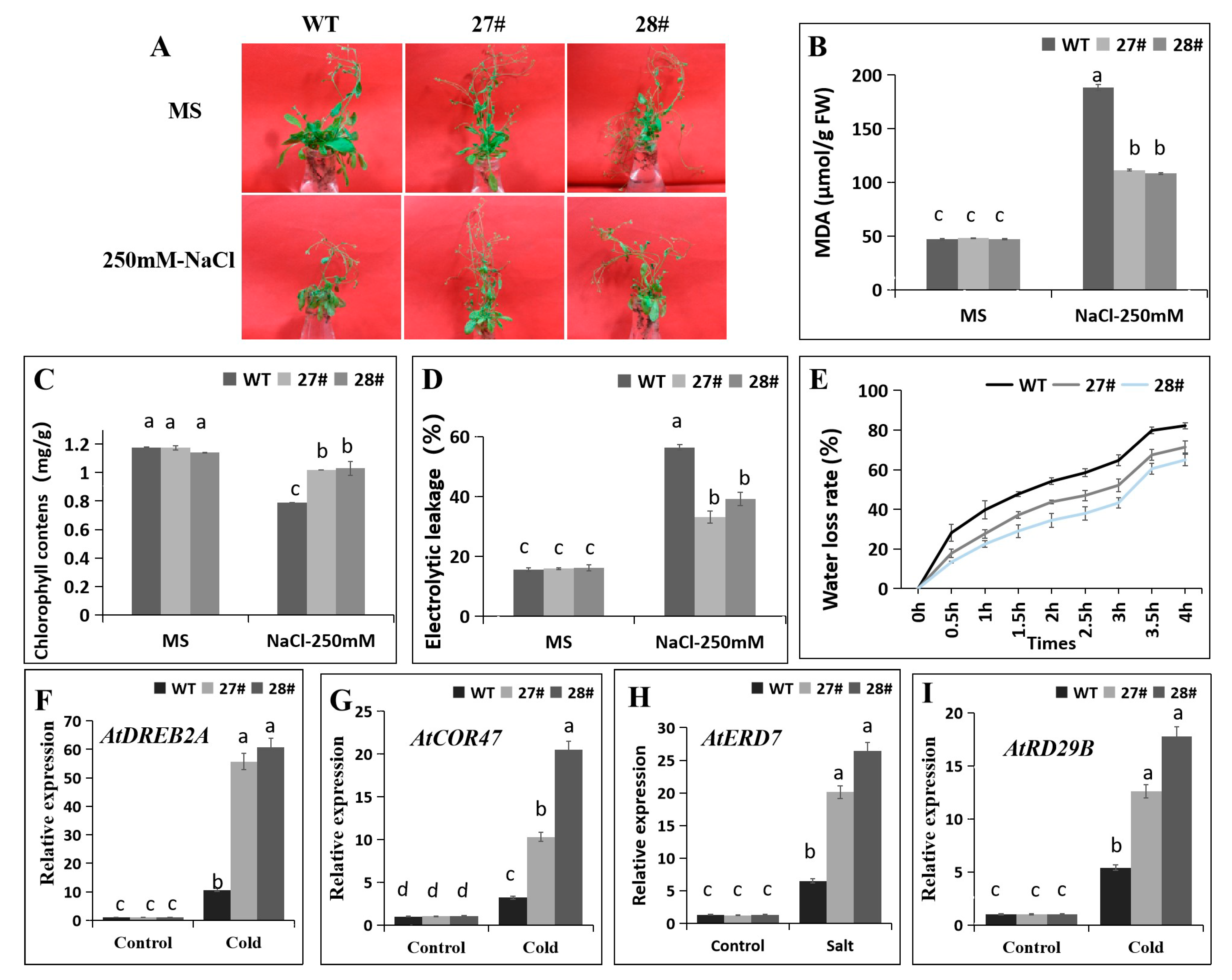 Ijms 21 00026 g008 Ijms 21 00026 g008