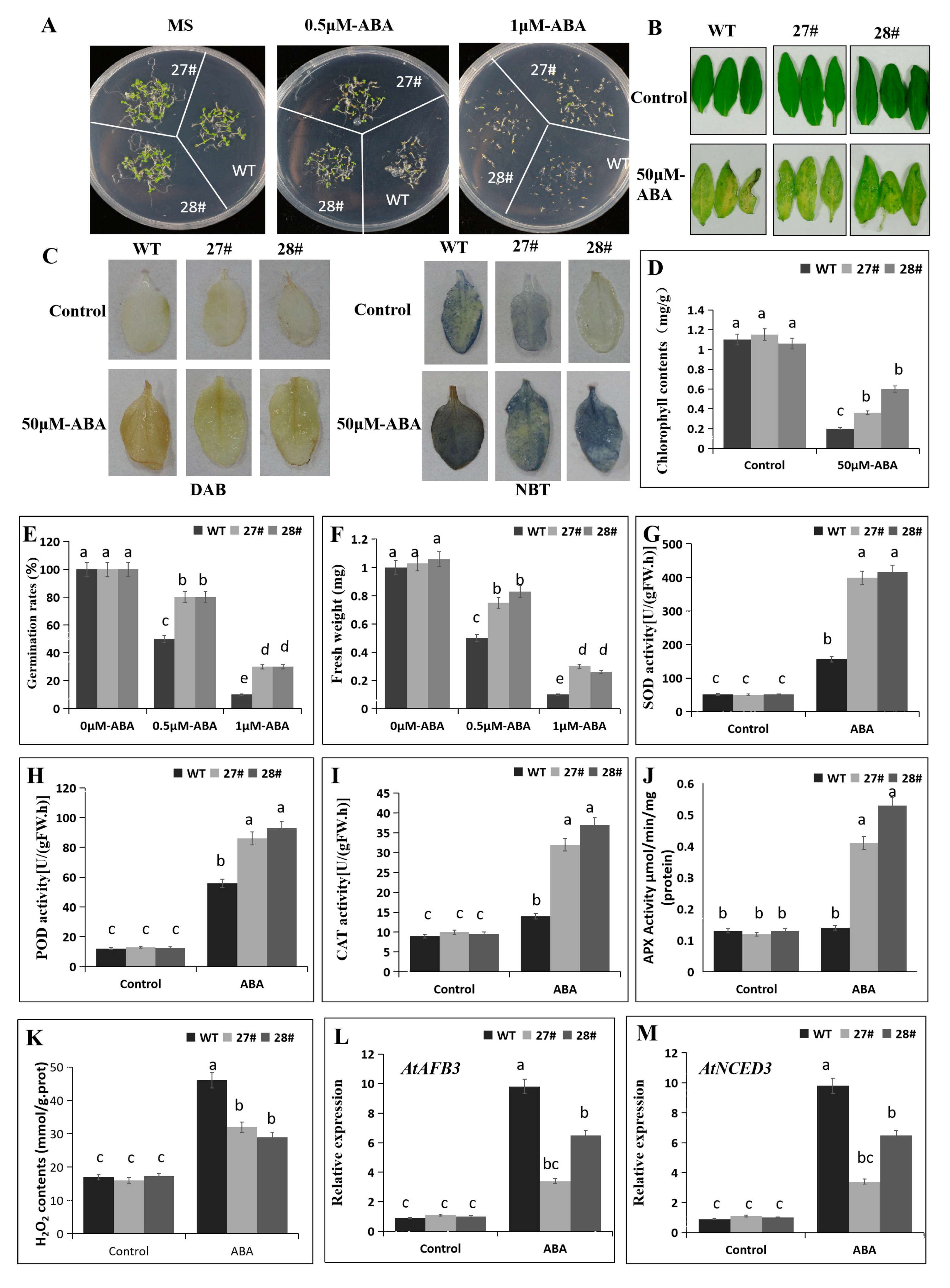 Ijms 21 00026 g009 Ijms 21 00026 g009