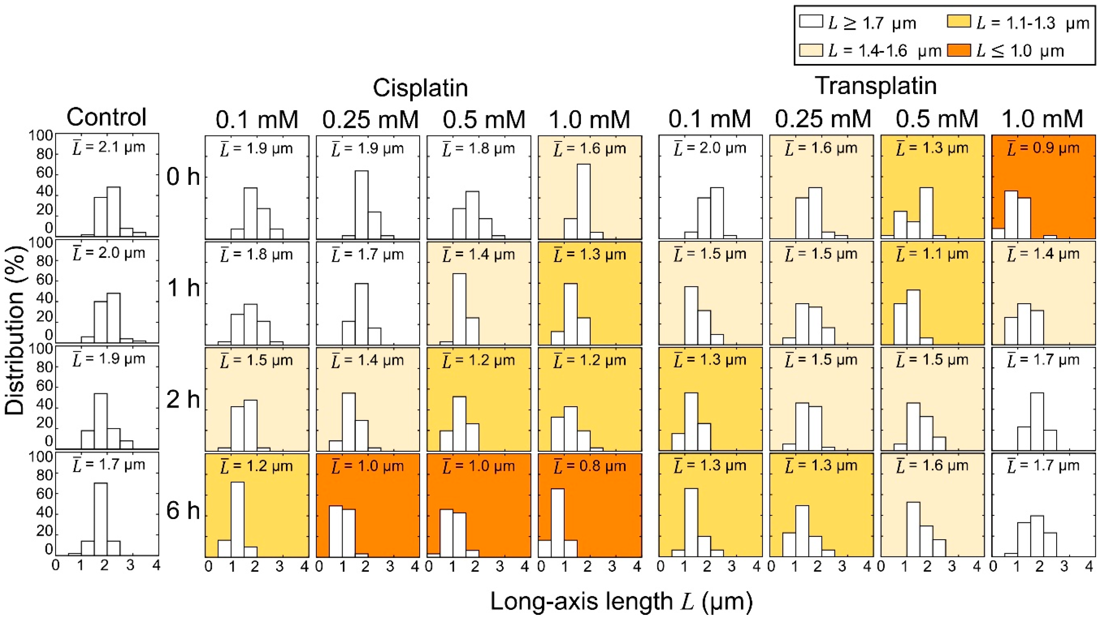 Ijms 21 00034 g004 Ijms 21 00034 g004