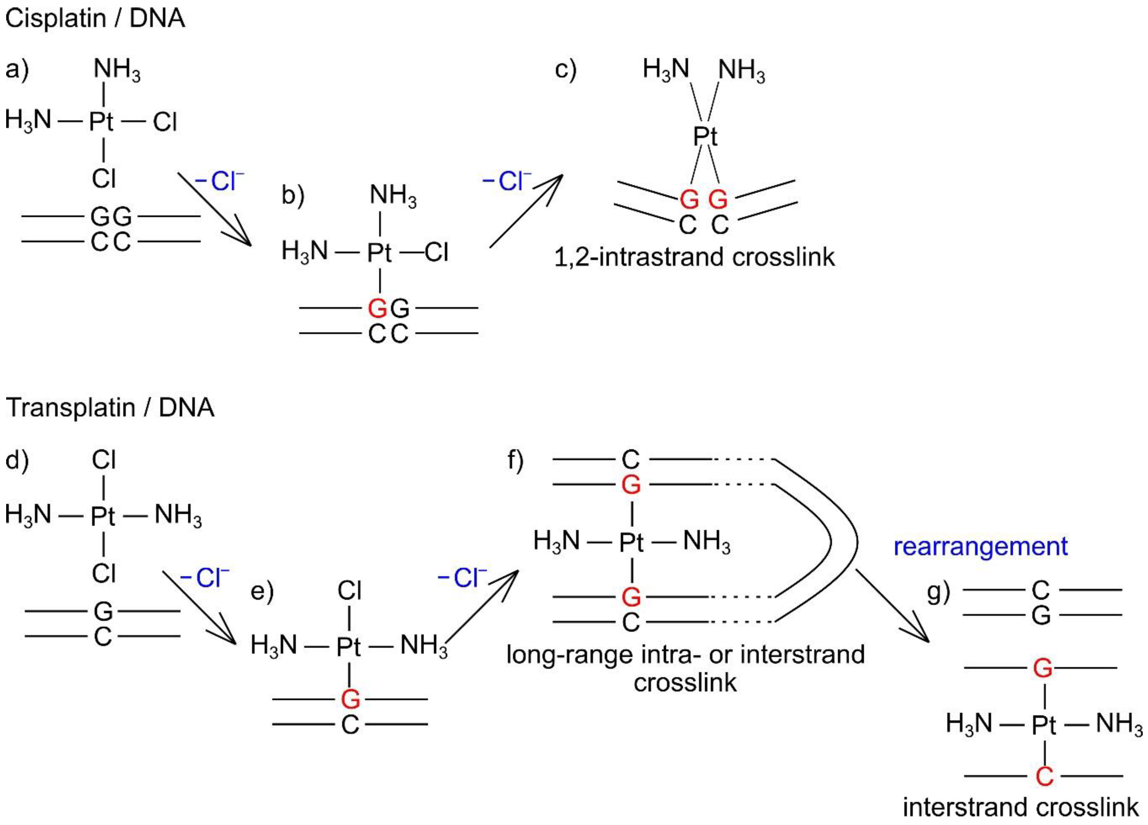 Ijms 21 00034 g010 Ijms 21 00034 g010