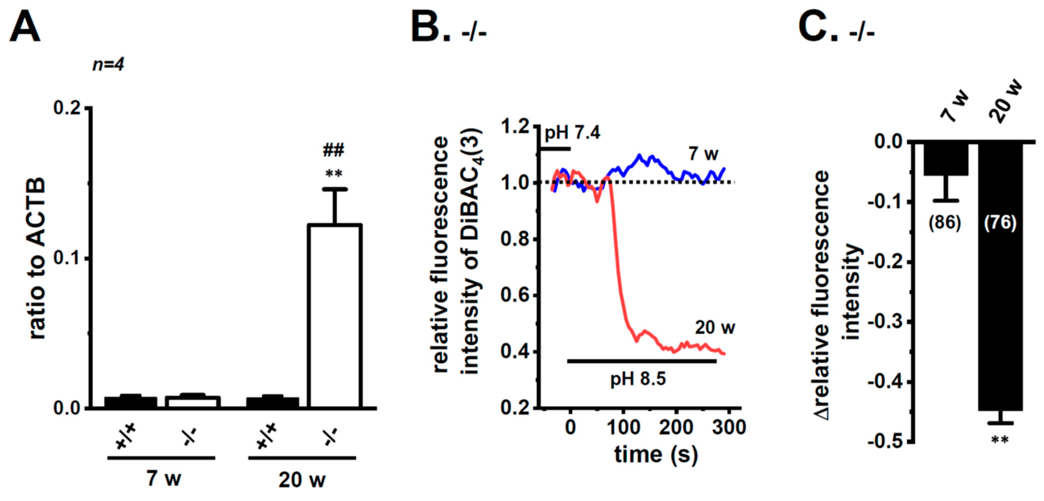 Ijms 21 00038 g008 Ijms 21 00038 g008