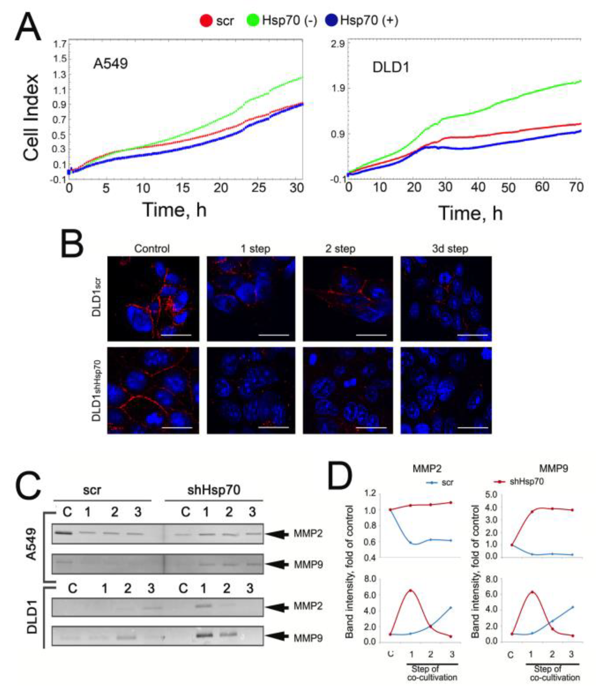 Ijms 21 00059 g005 Ijms 21 00059 g005
