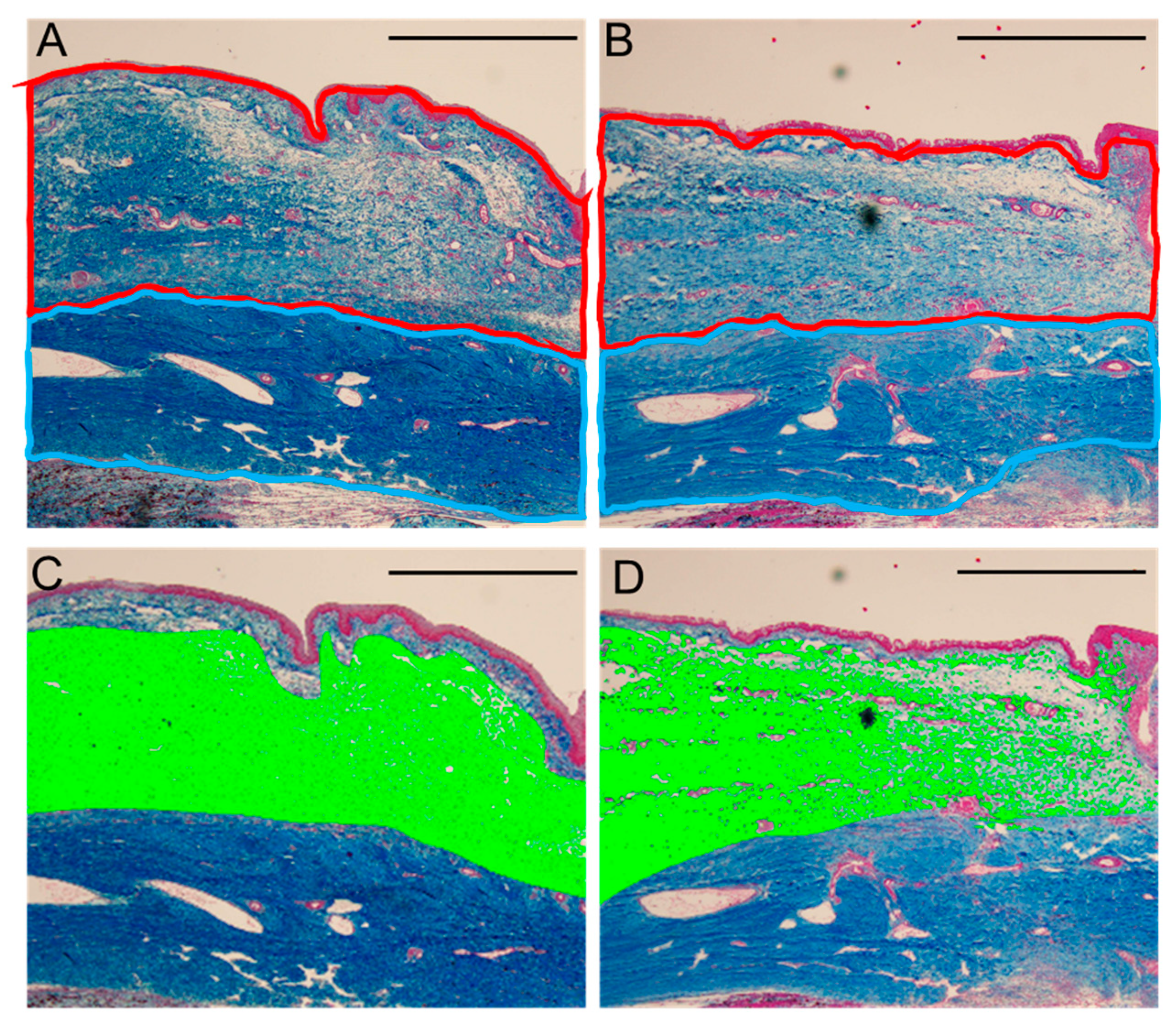 Ijms 21 00063 g002 Ijms 21 00063 g002