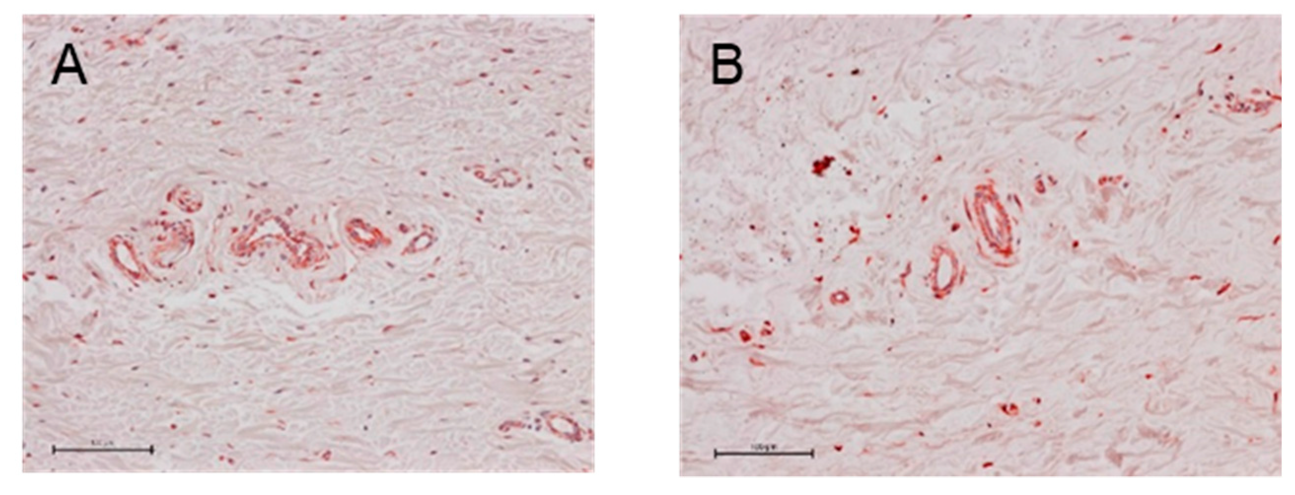 Ijms 21 00063 g008 Ijms 21 00063 g008