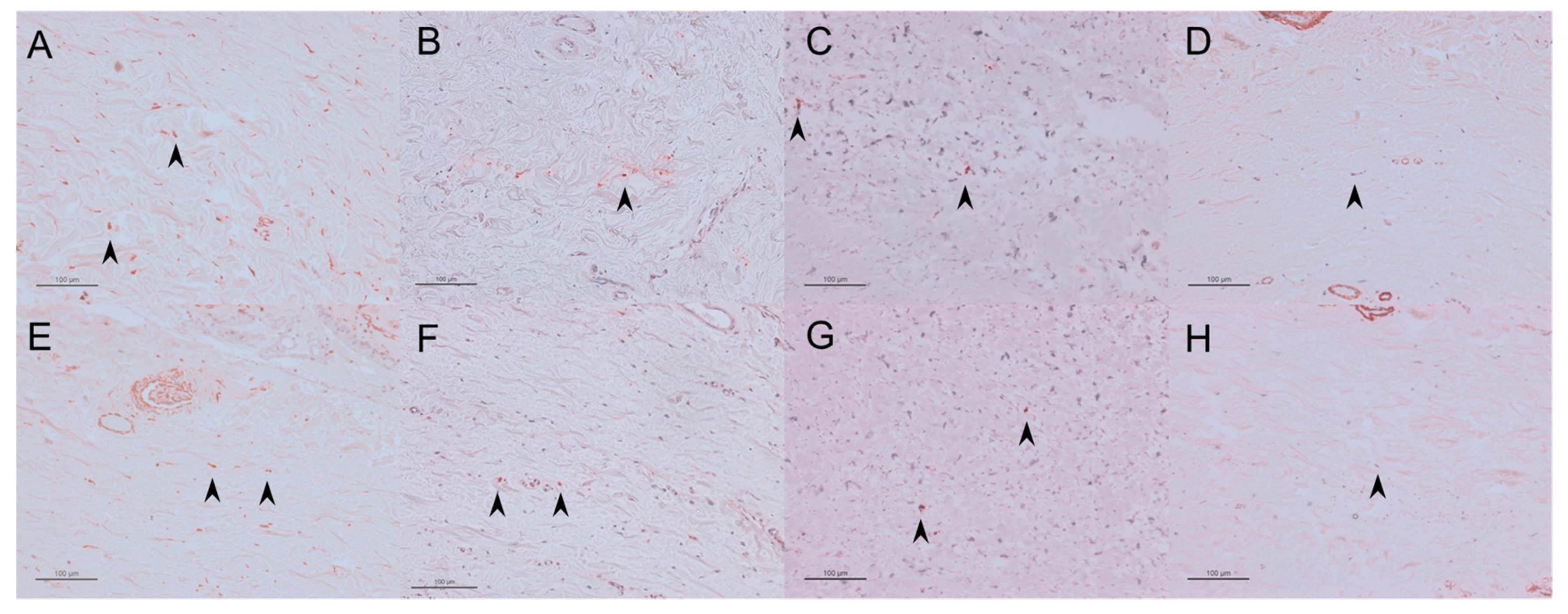 Ijms 21 00063 g009 Ijms 21 00063 g009