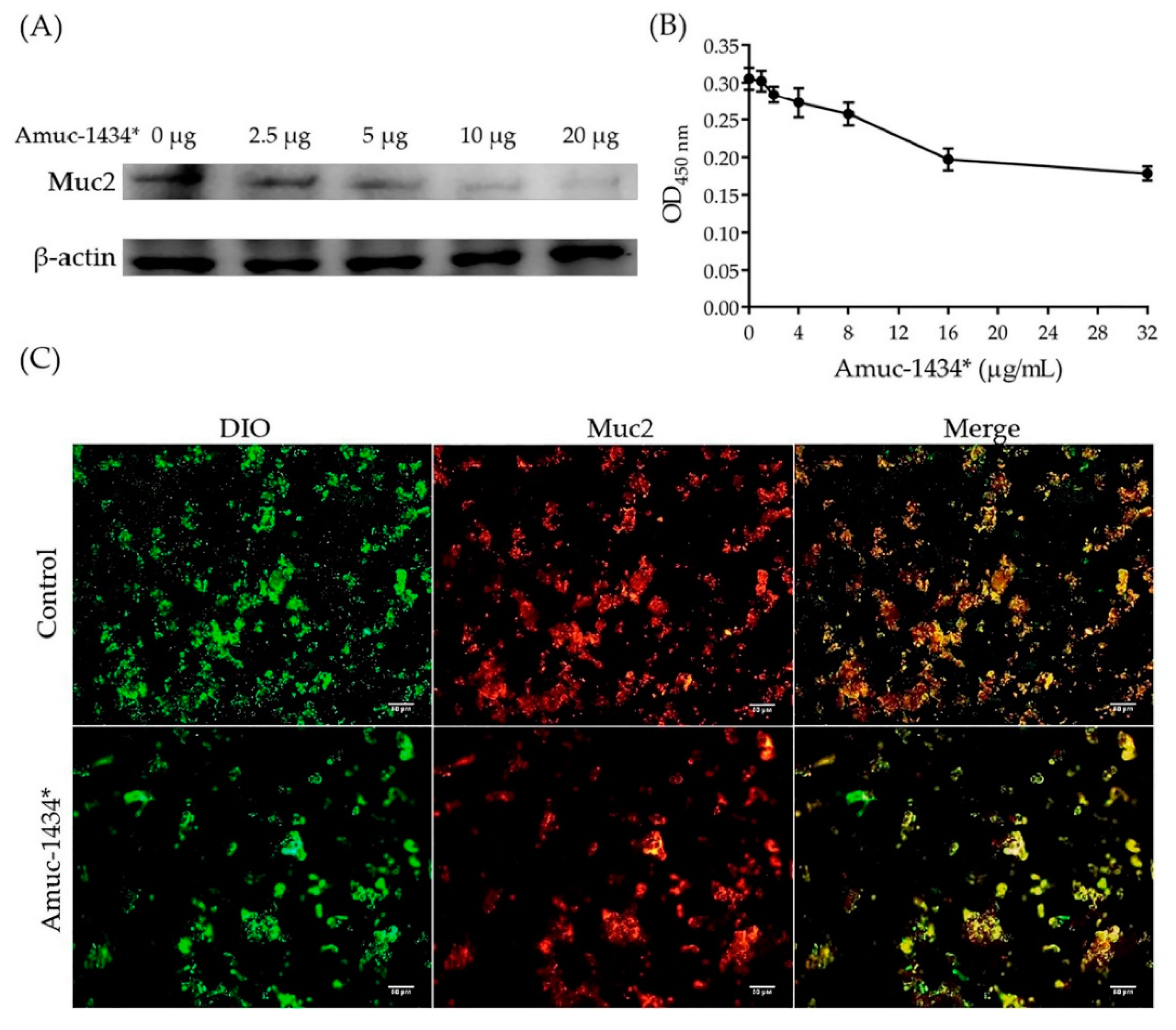 Ijms 21 00072 g007 Ijms 21 00072 g007