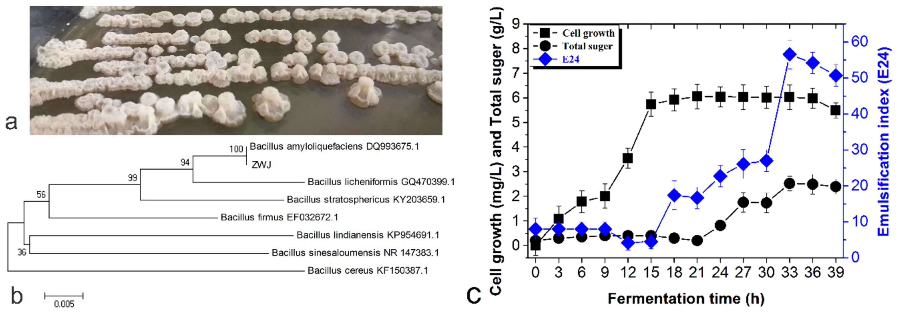 Ijms 21 00077 g001 Ijms 21 00077 g001