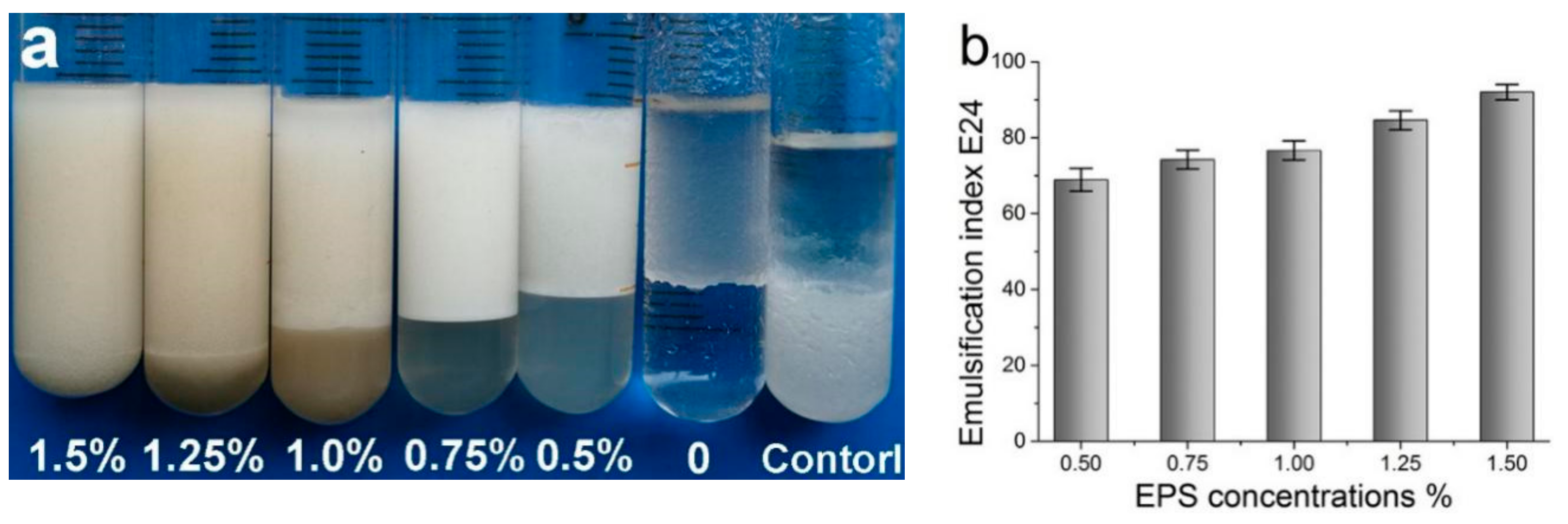 Ijms 21 00077 g002a Ijms 21 00077 g002a