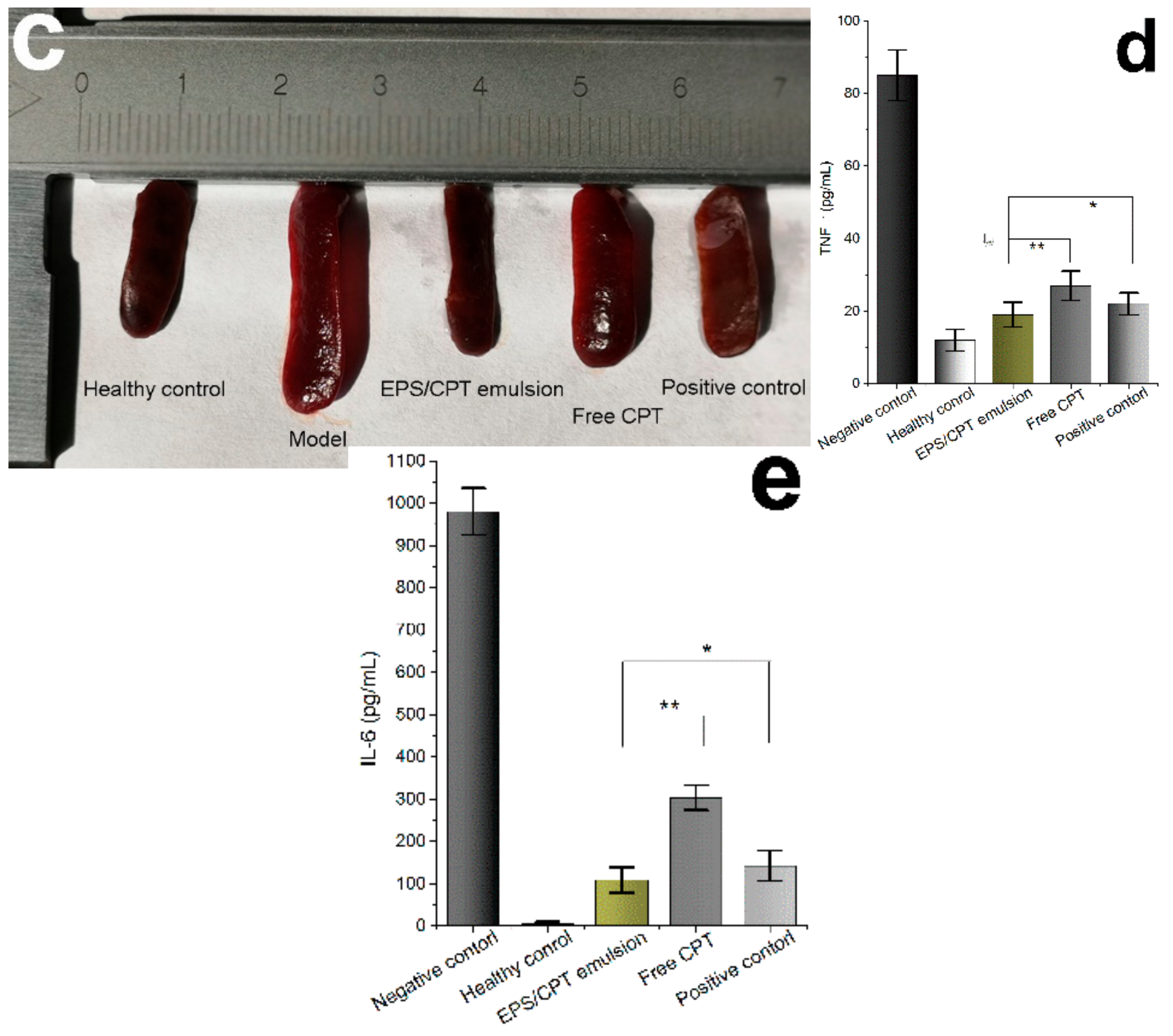Ijms 21 00077 g005b Ijms 21 00077 g005b