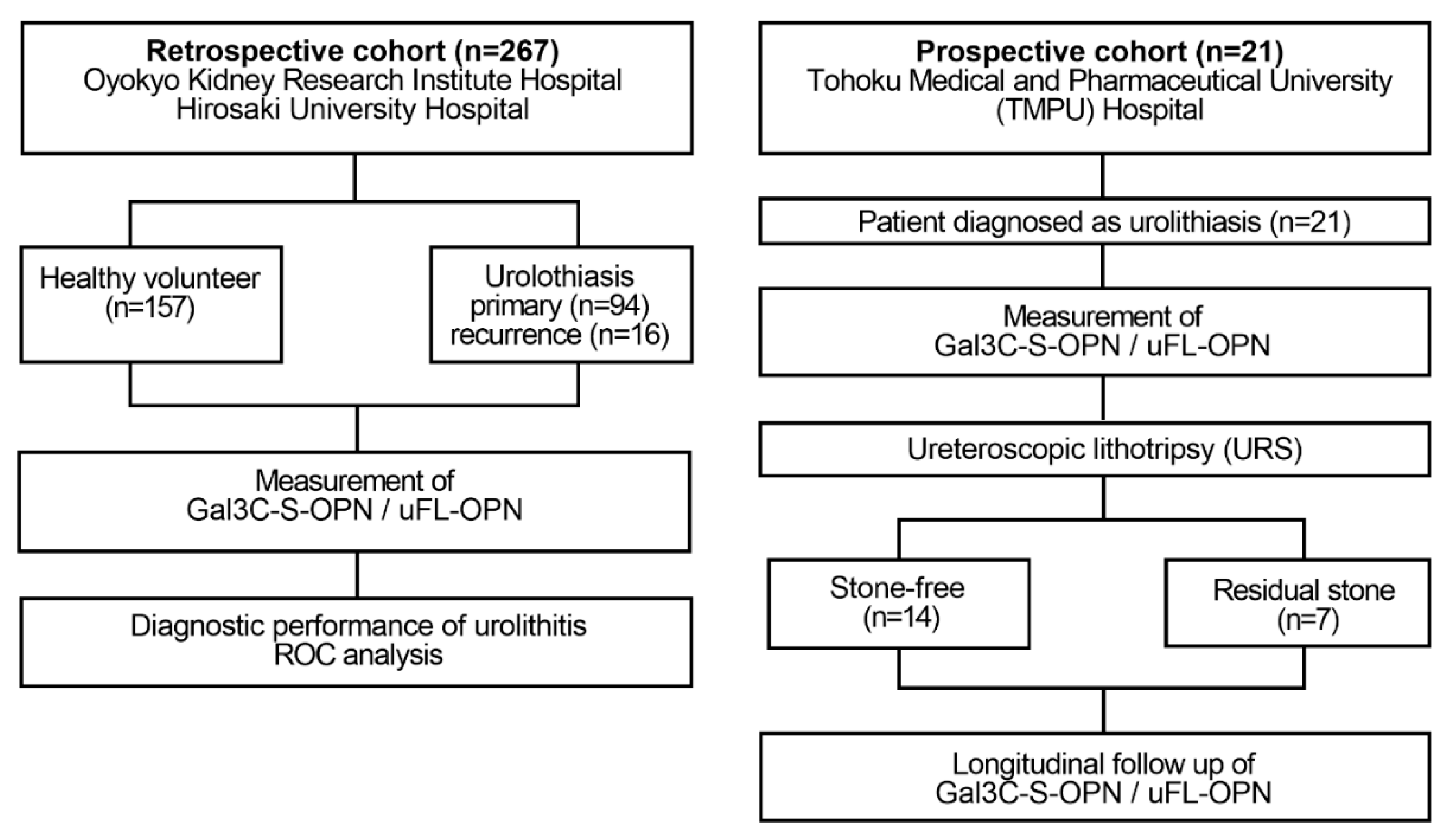 Ijms 21 00093 g001 Ijms 21 00093 g001
