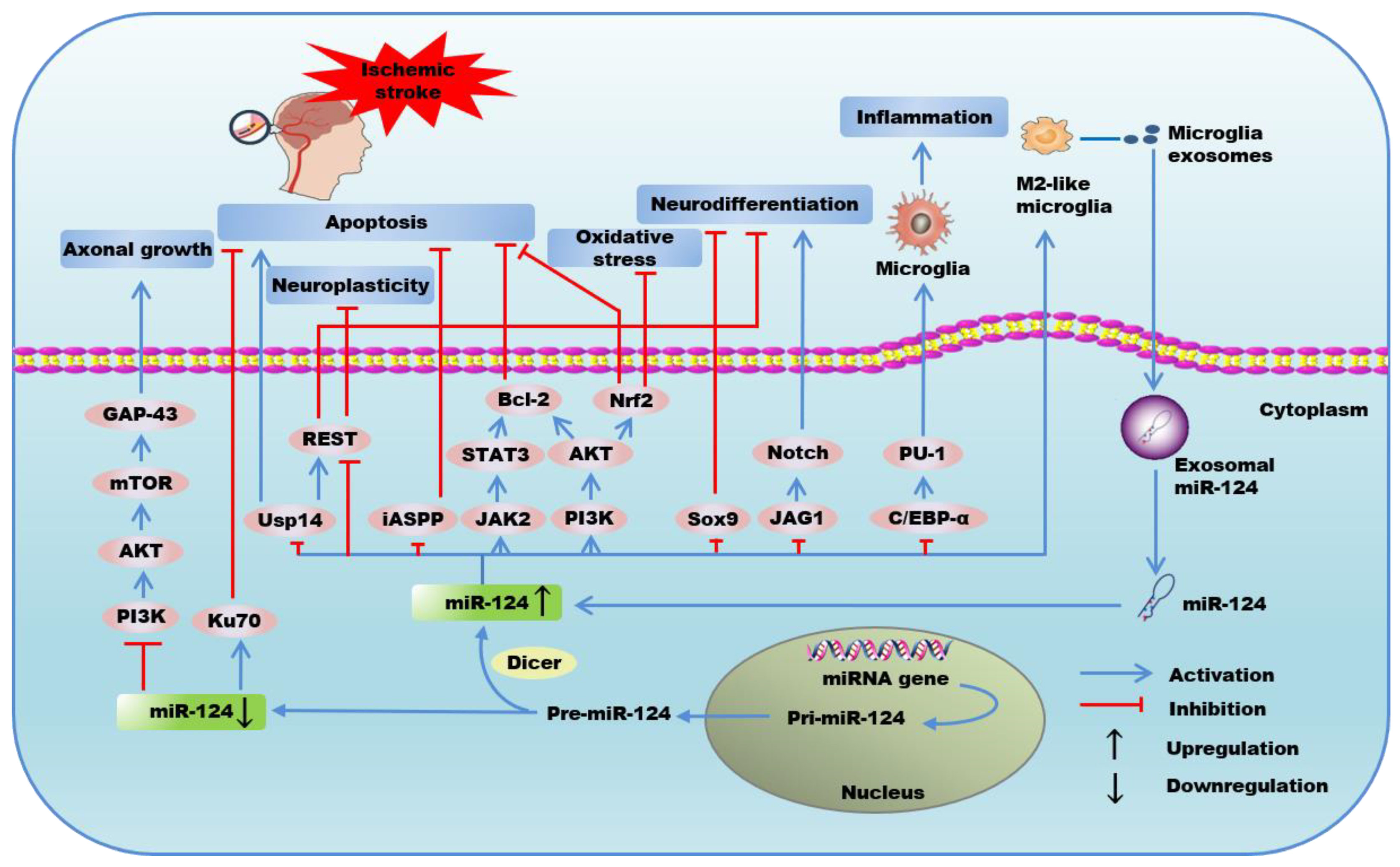 Ijms 21 00120 g001 Ijms 21 00120 g001