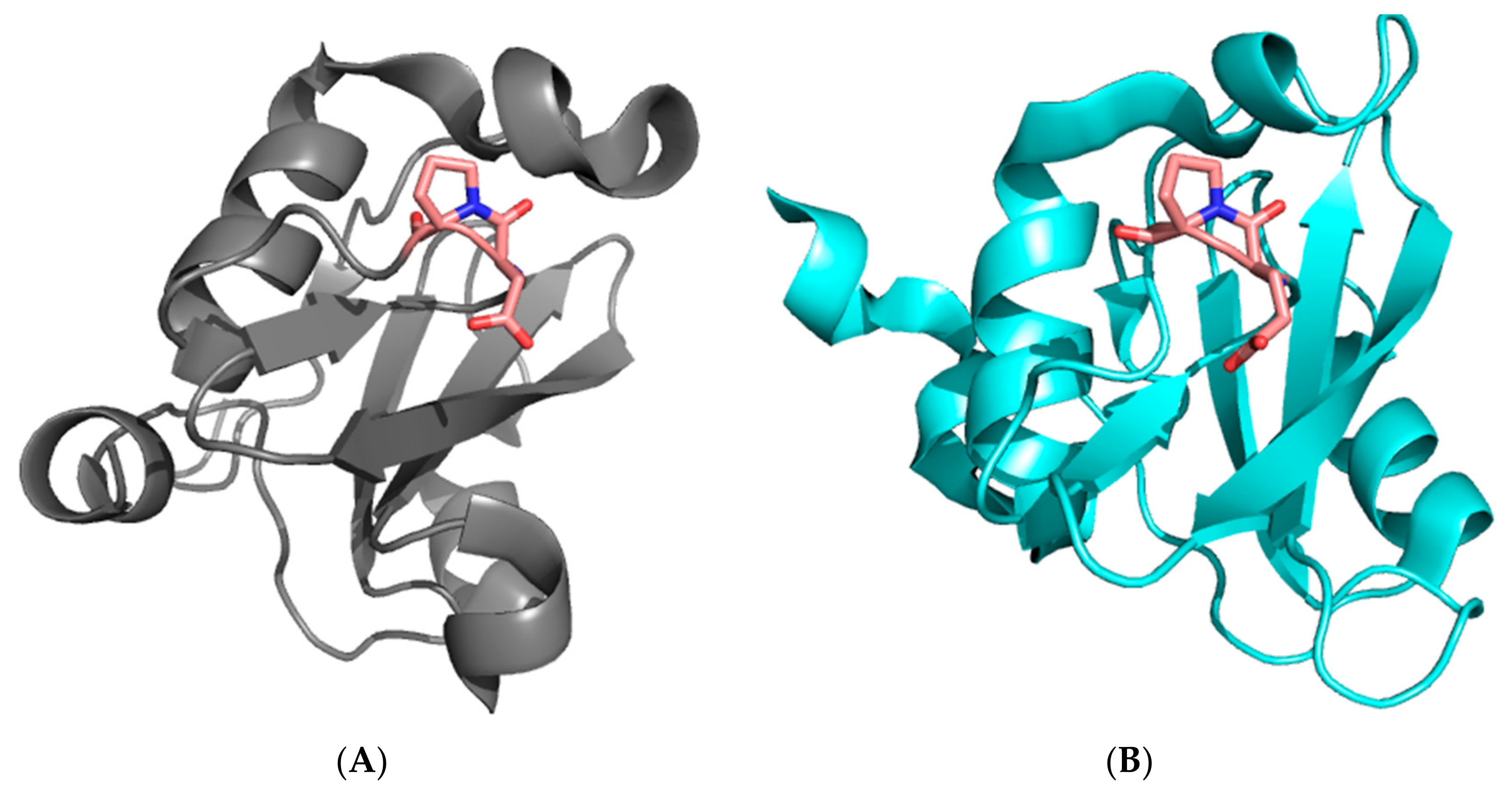 Ijms 21 00125 g001 Ijms 21 00125 g001