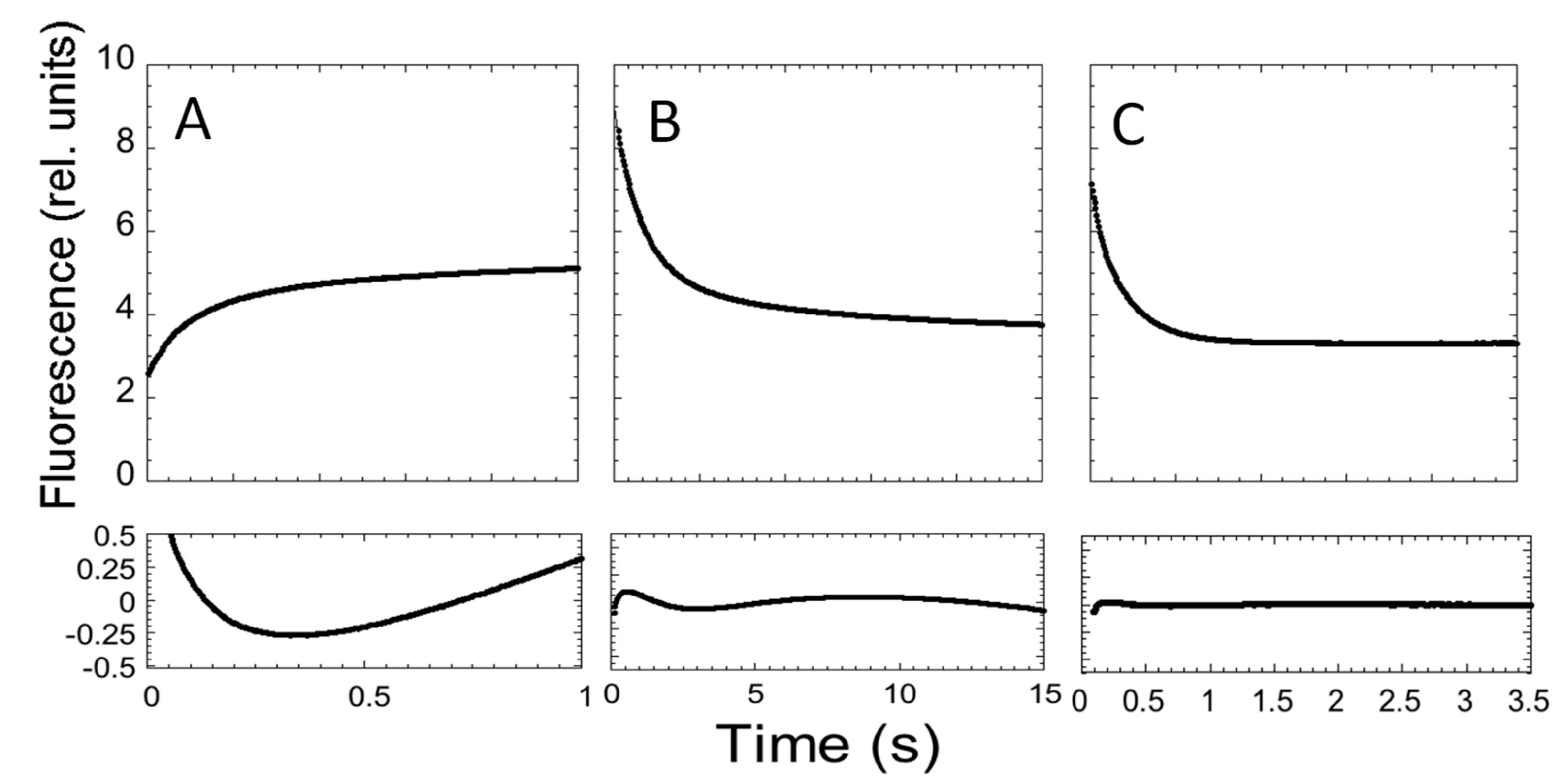 Ijms 21 00125 g003 Ijms 21 00125 g003