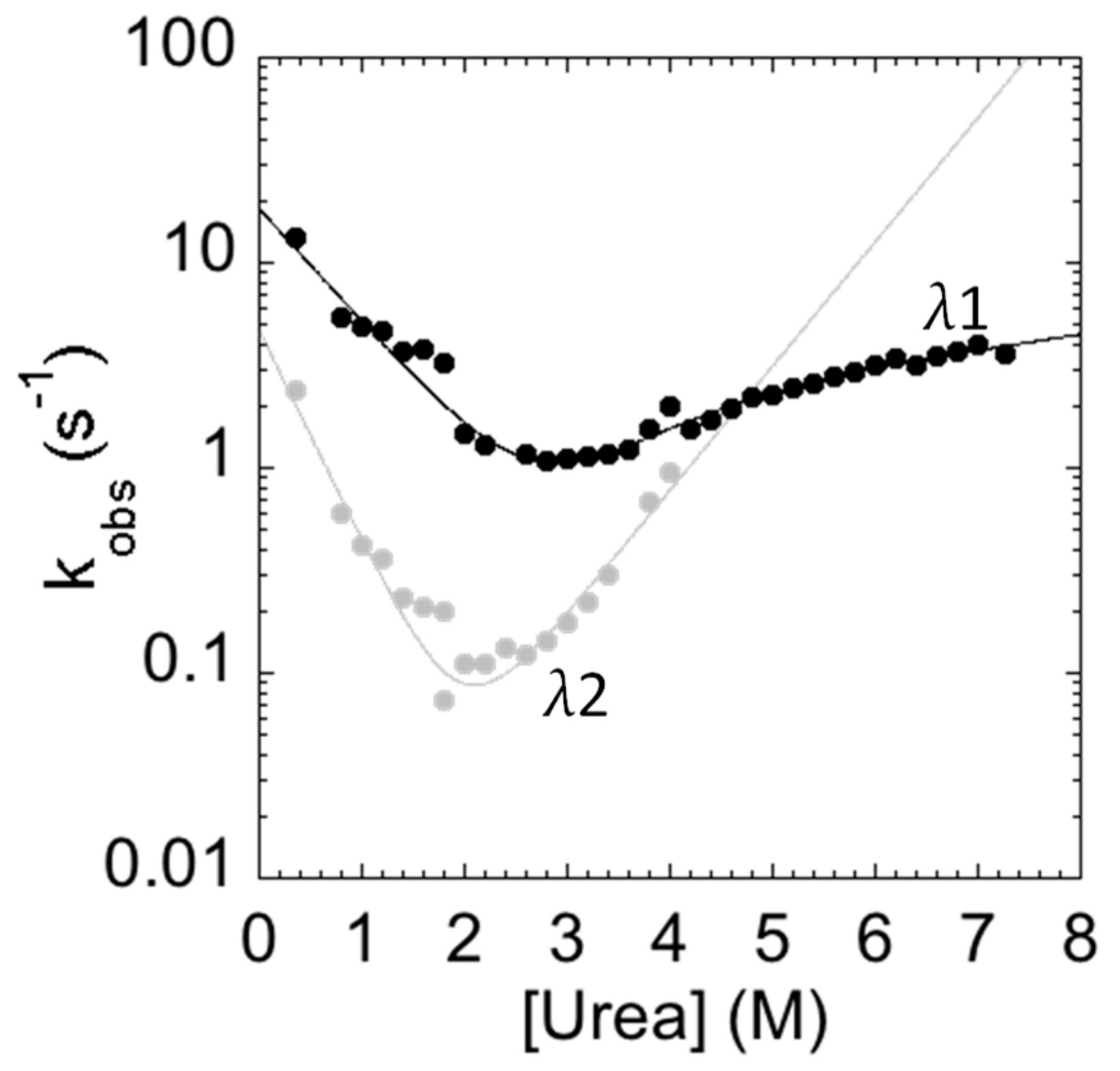 Ijms 21 00125 g004 Ijms 21 00125 g004