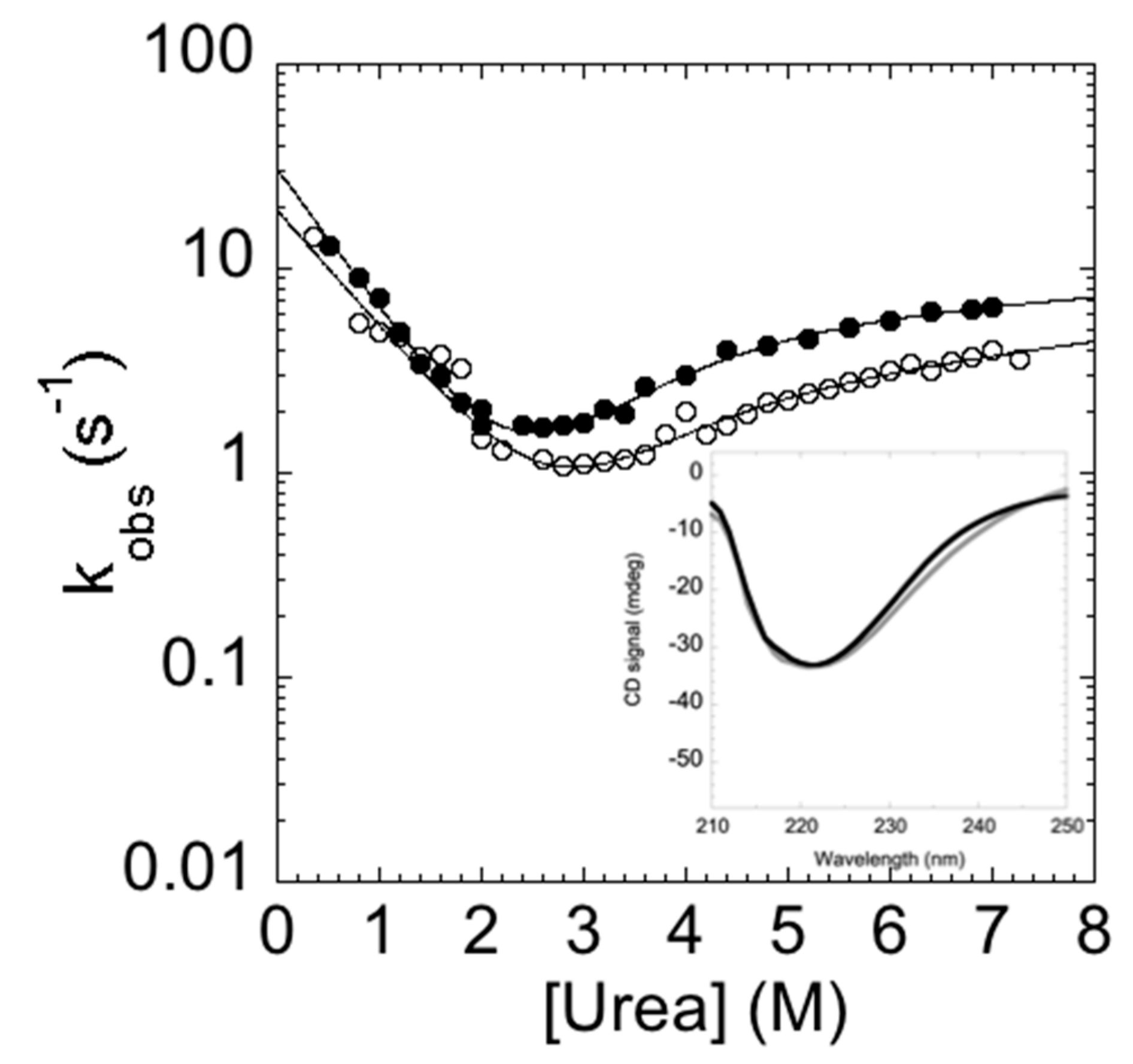 Ijms 21 00125 g006 Ijms 21 00125 g006