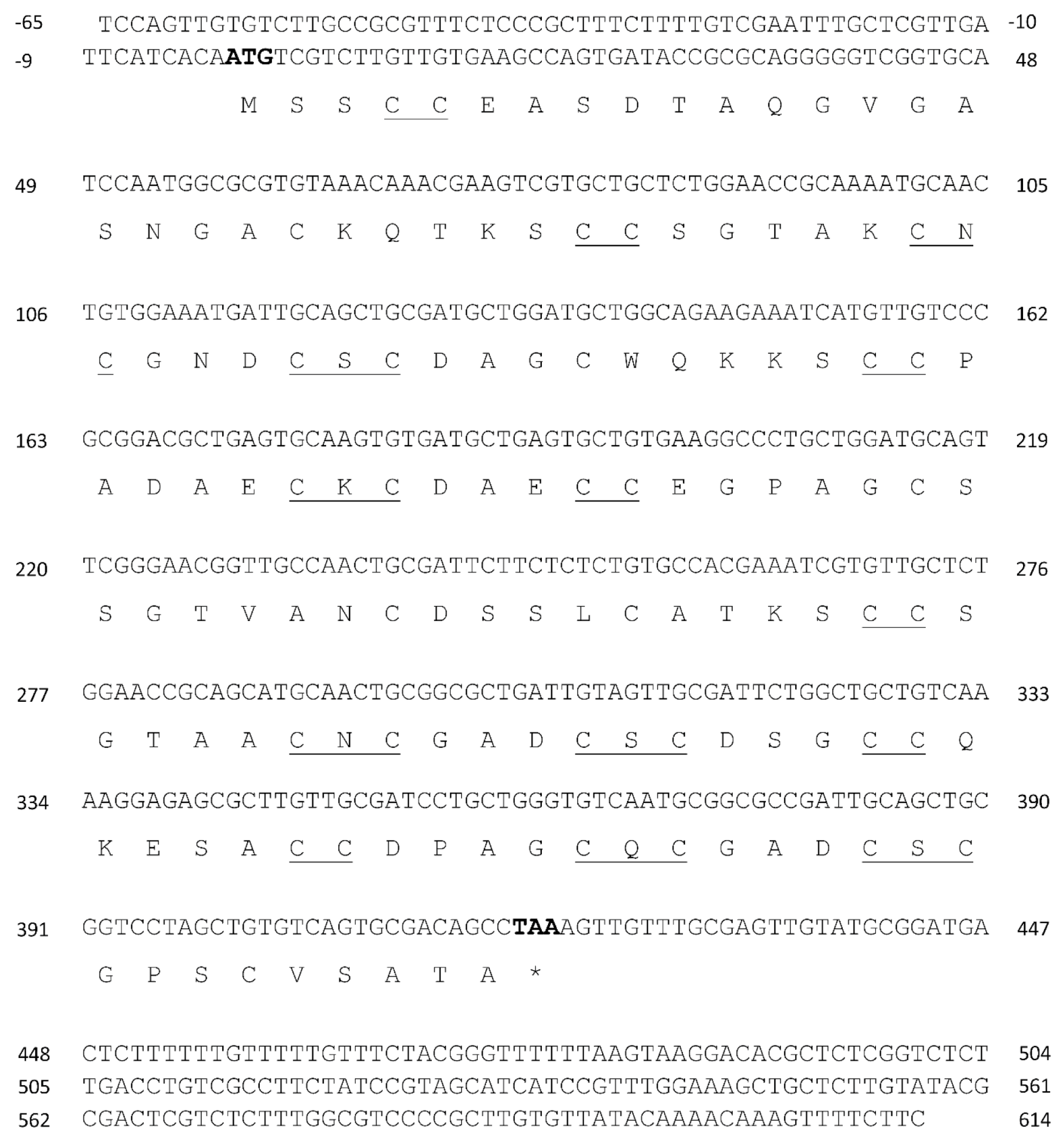 Ijms 21 00153 g003 Ijms 21 00153 g003