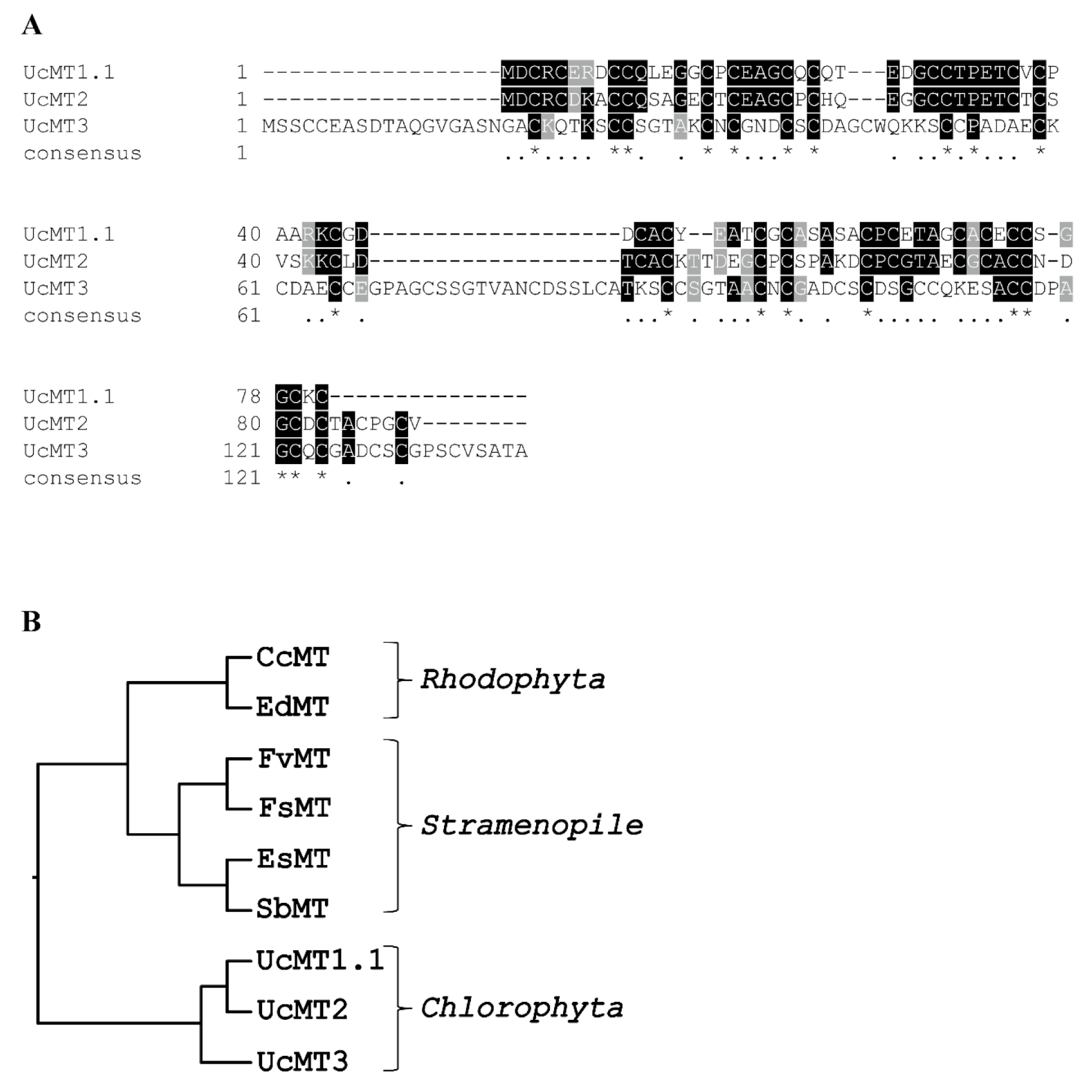Ijms 21 00153 g004 Ijms 21 00153 g004