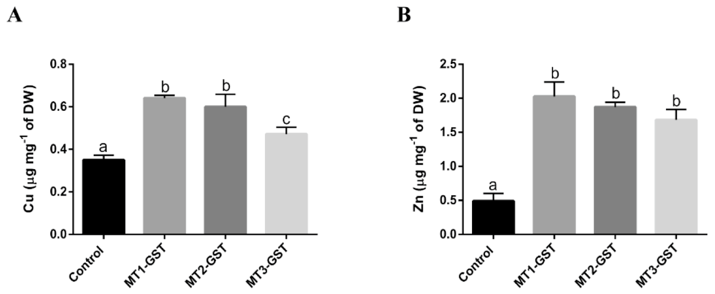 Ijms 21 00153 g006 Ijms 21 00153 g006