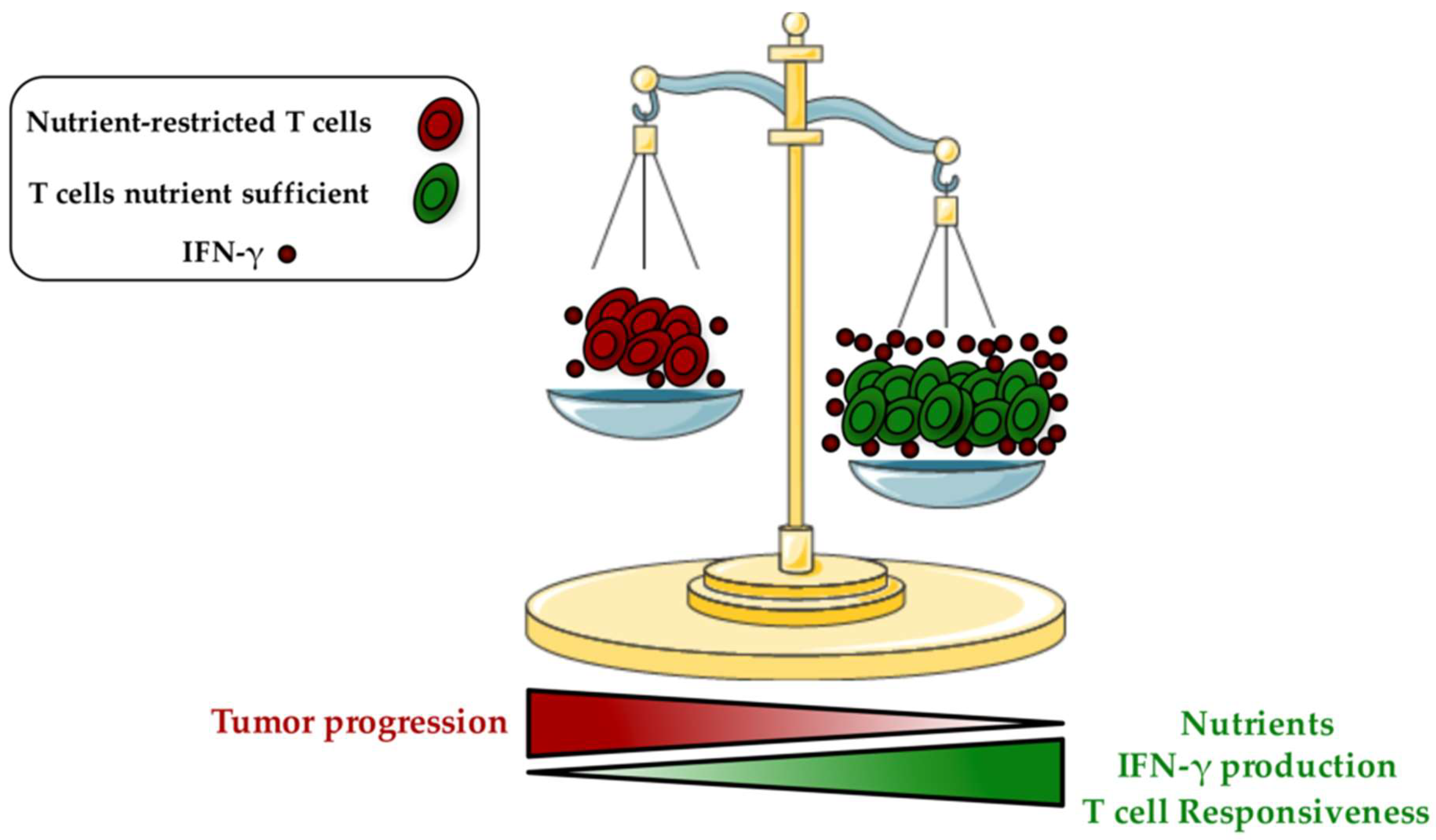 Ijms 21 00157 g001 Ijms 21 00157 g001
