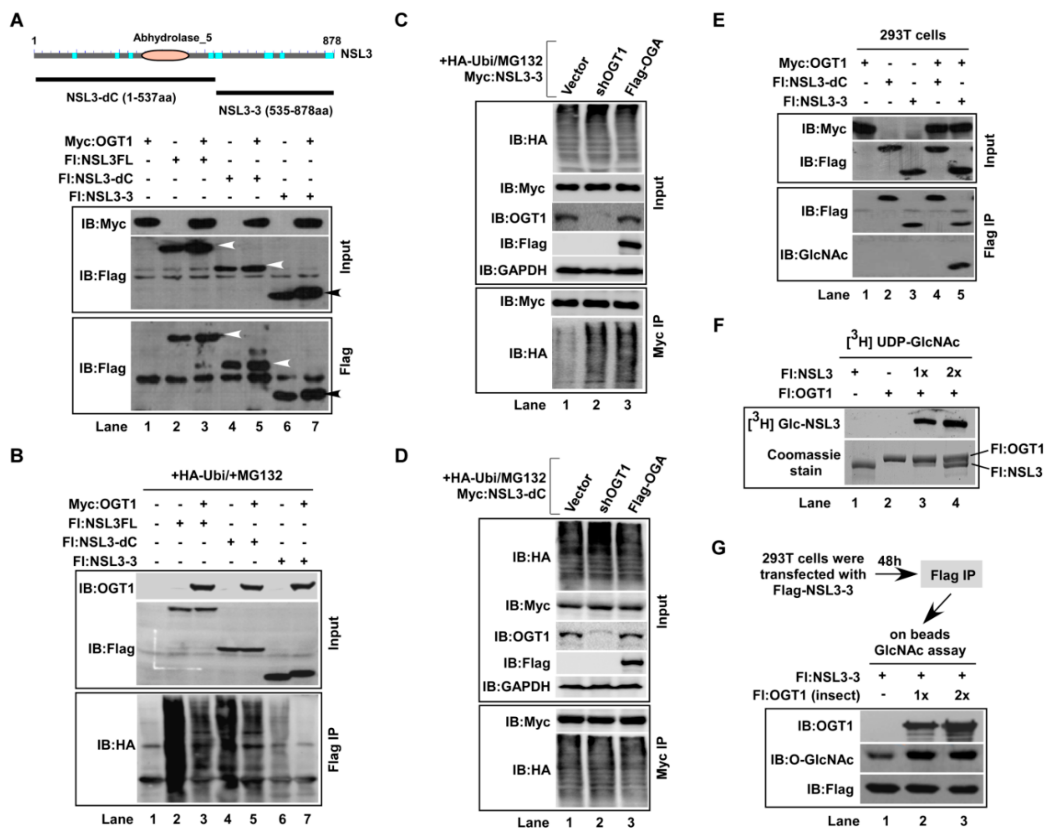 Ijms 21 00173 g001 Ijms 21 00173 g001