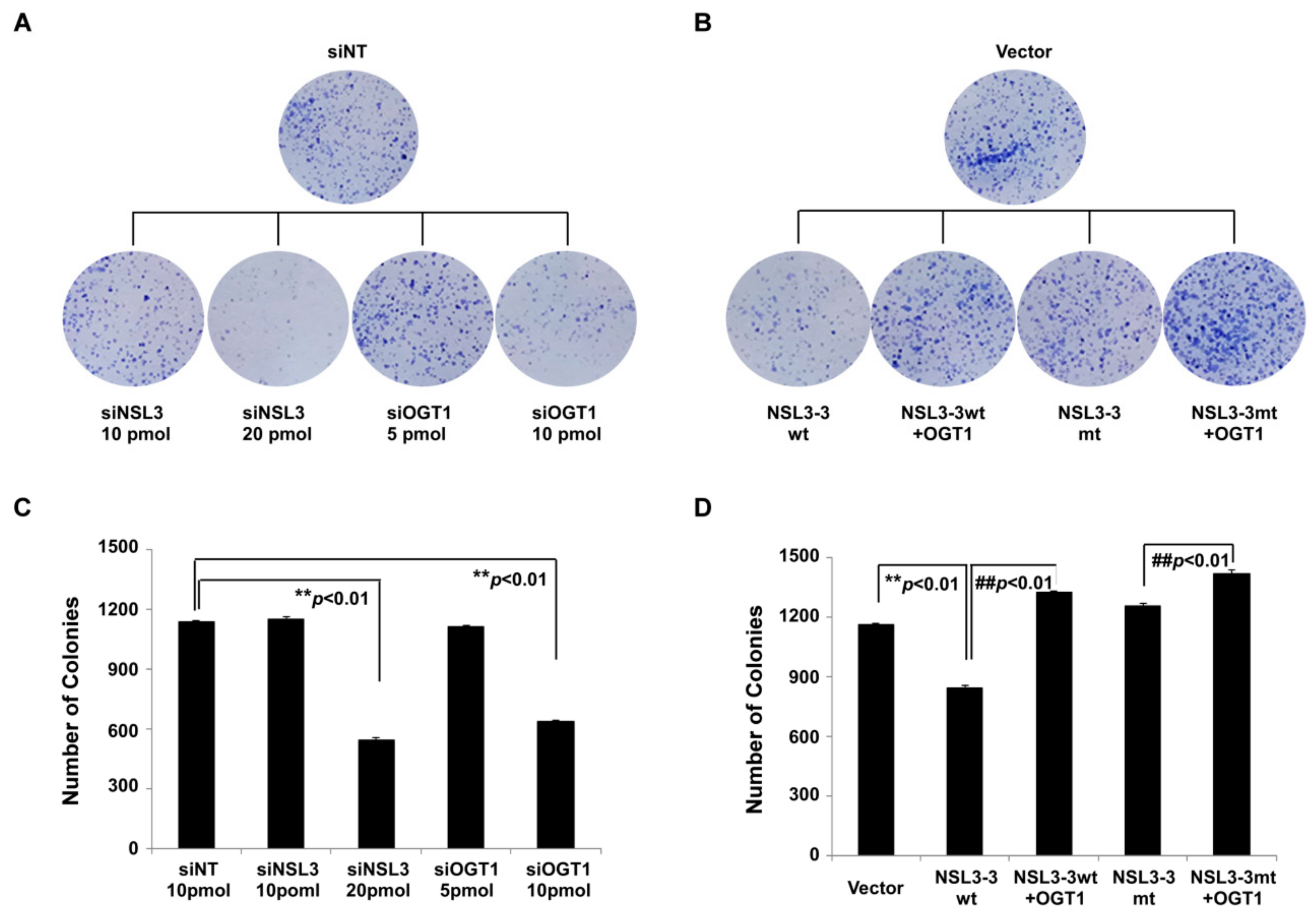 Ijms 21 00173 g007 Ijms 21 00173 g007