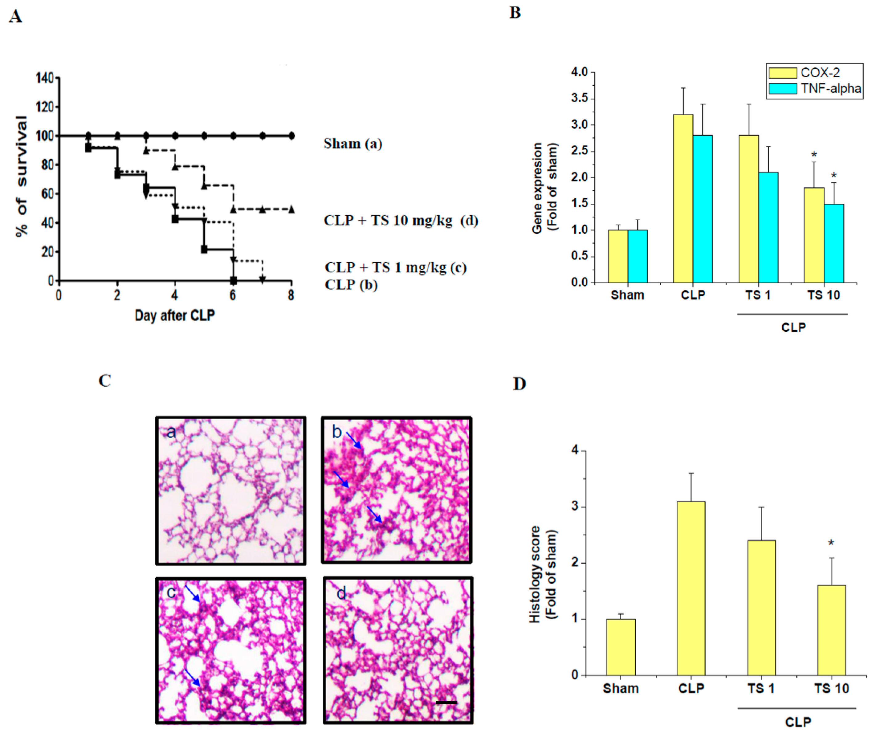 Ijms 21 00174 i001 Ijms 21 00174 i001