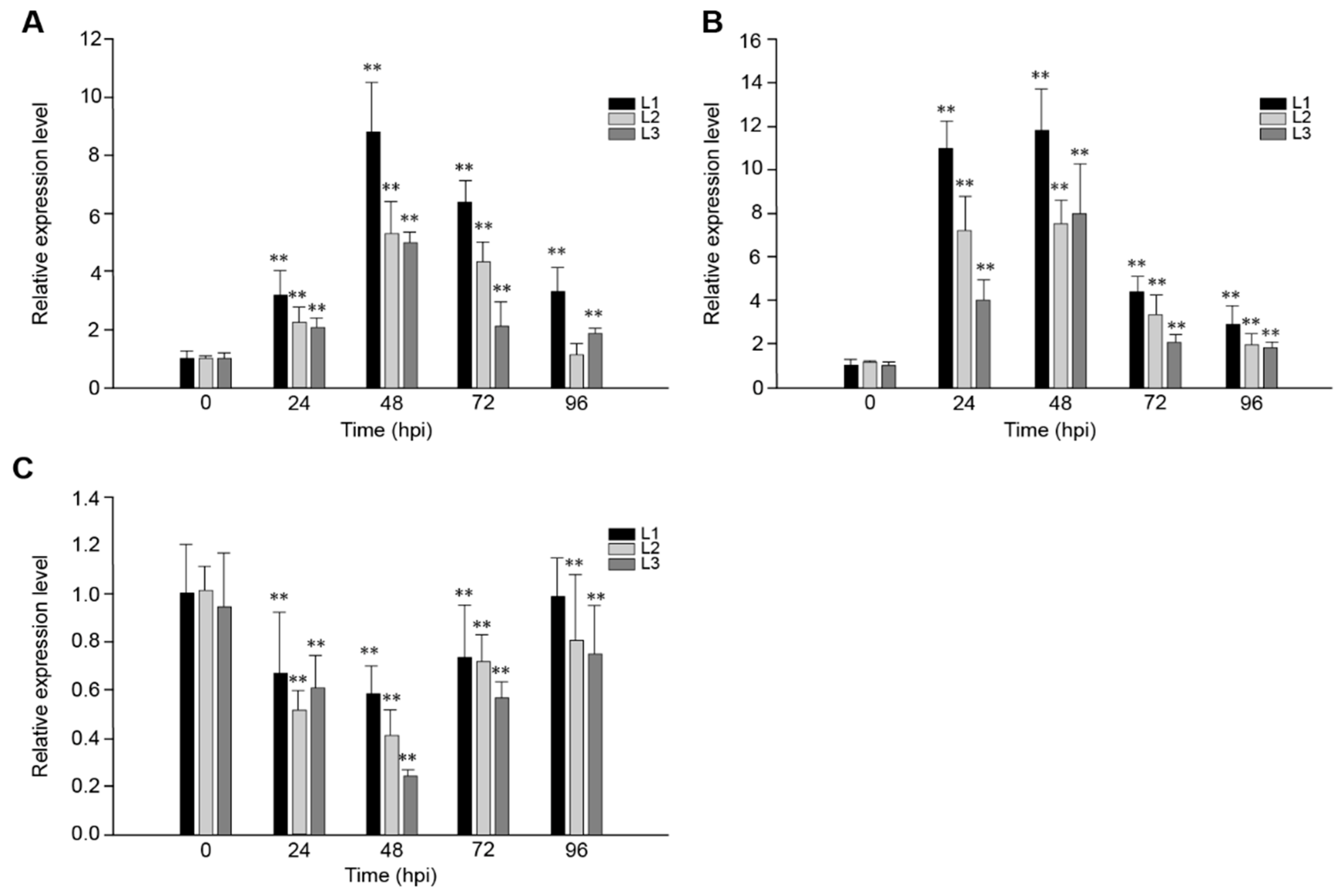 Ijms 21 00193 g002 Ijms 21 00193 g002