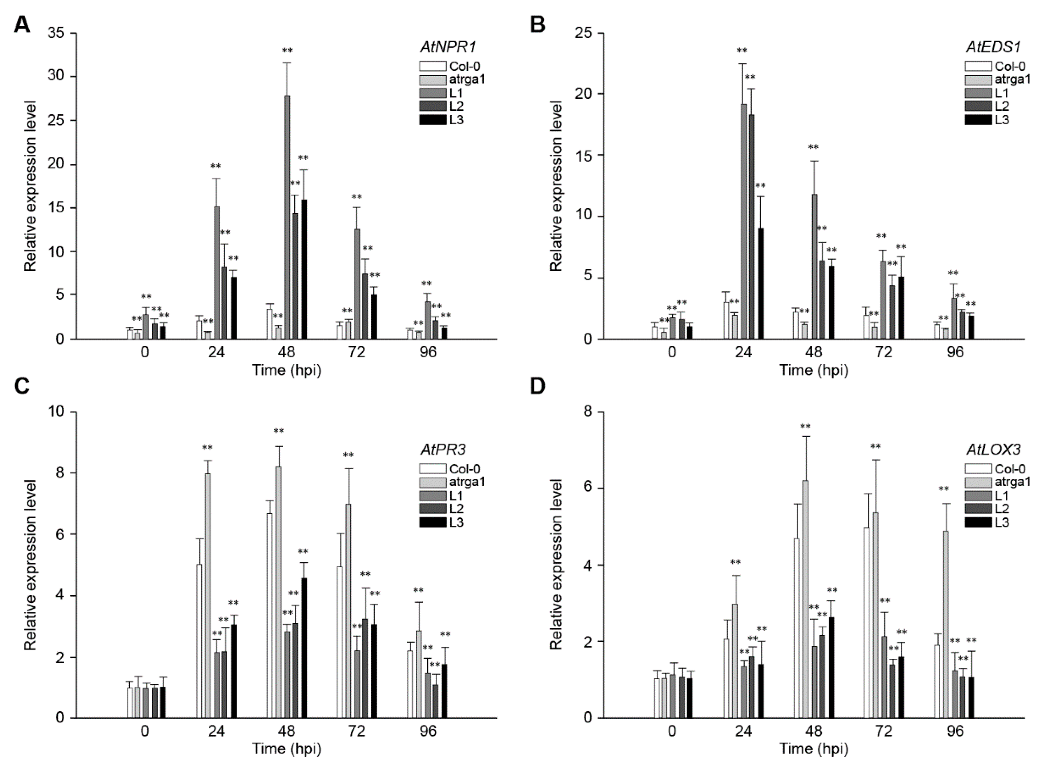 Ijms 21 00193 g004 Ijms 21 00193 g004