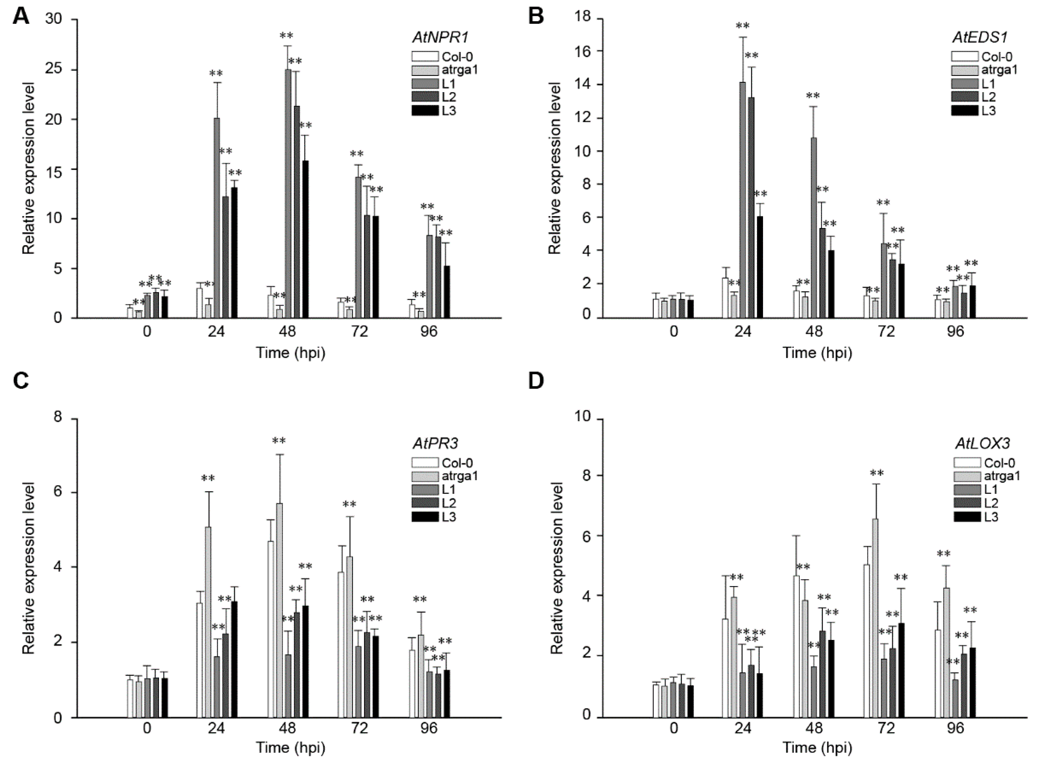 Ijms 21 00193 g006 Ijms 21 00193 g006